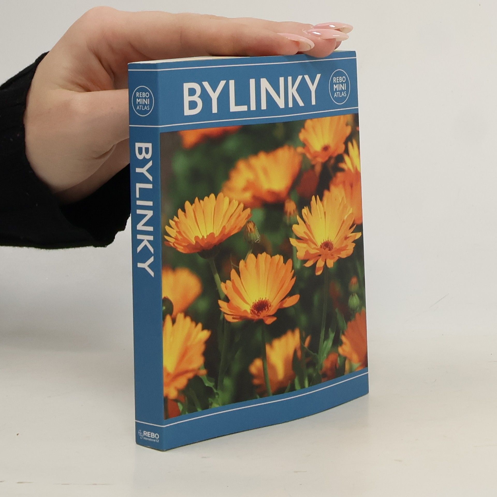 Hanneke van Dijk Bylinky