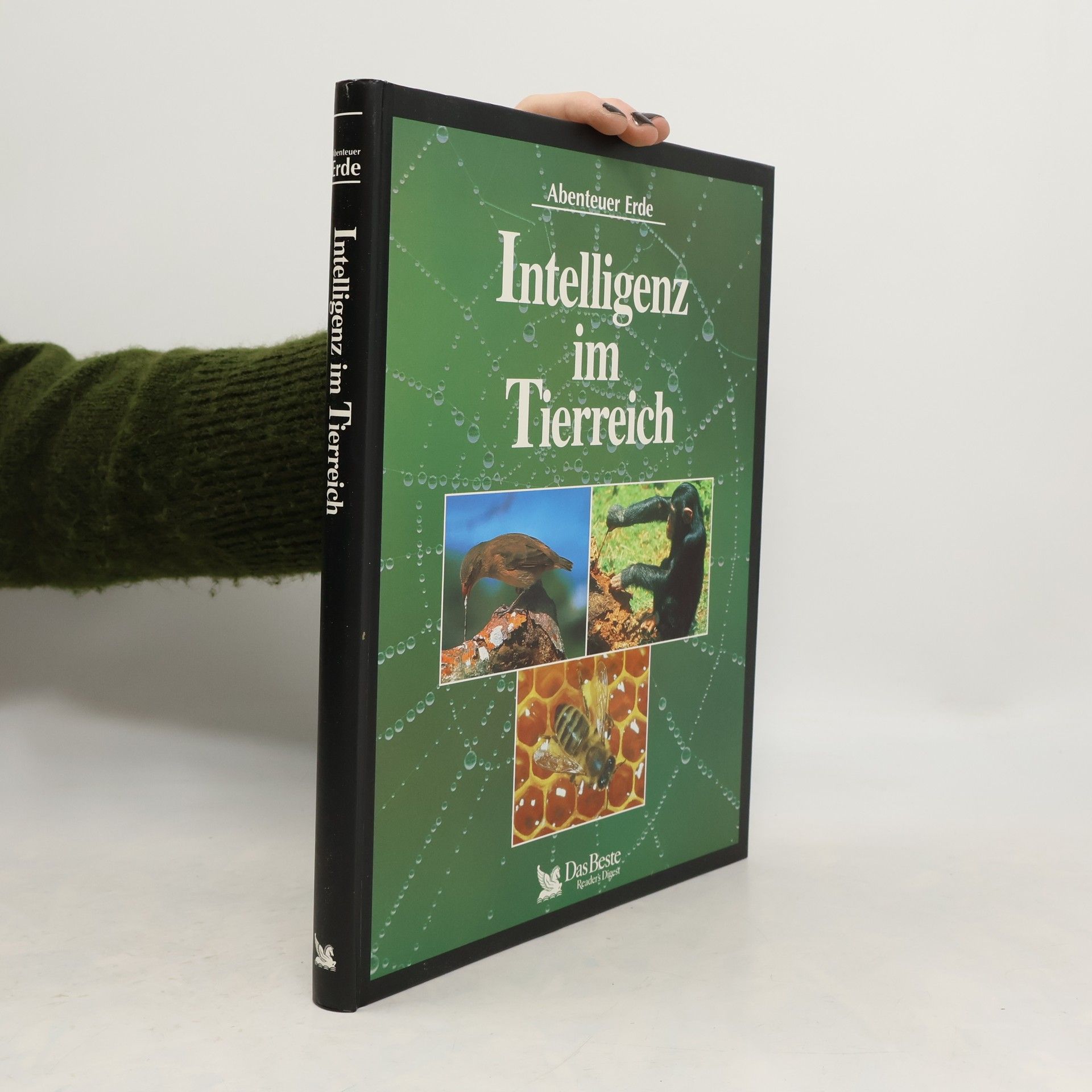 Autorenkollektiv Intelligenz im Tierreich