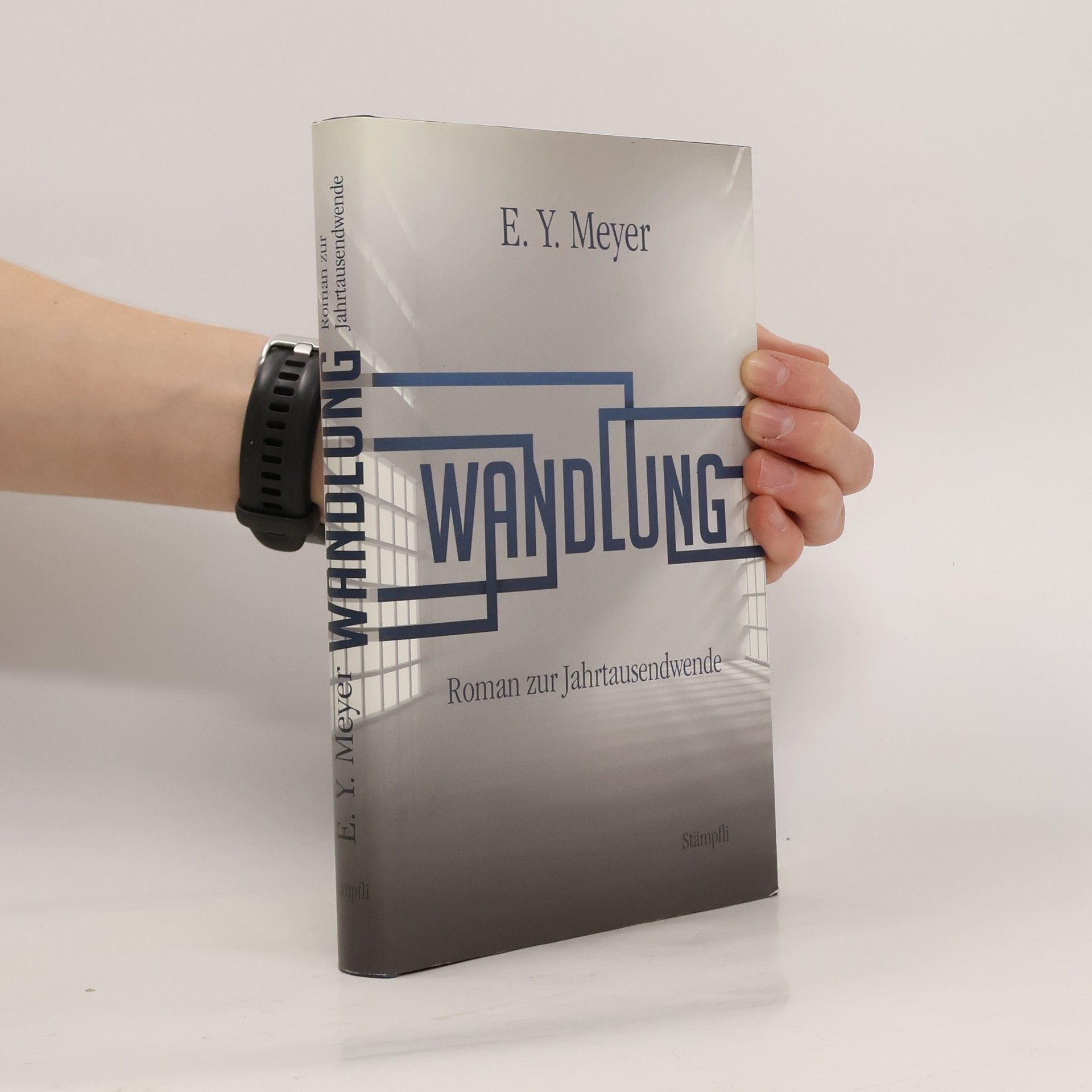 Choreographie des Geistes in der göttlichen Komödie