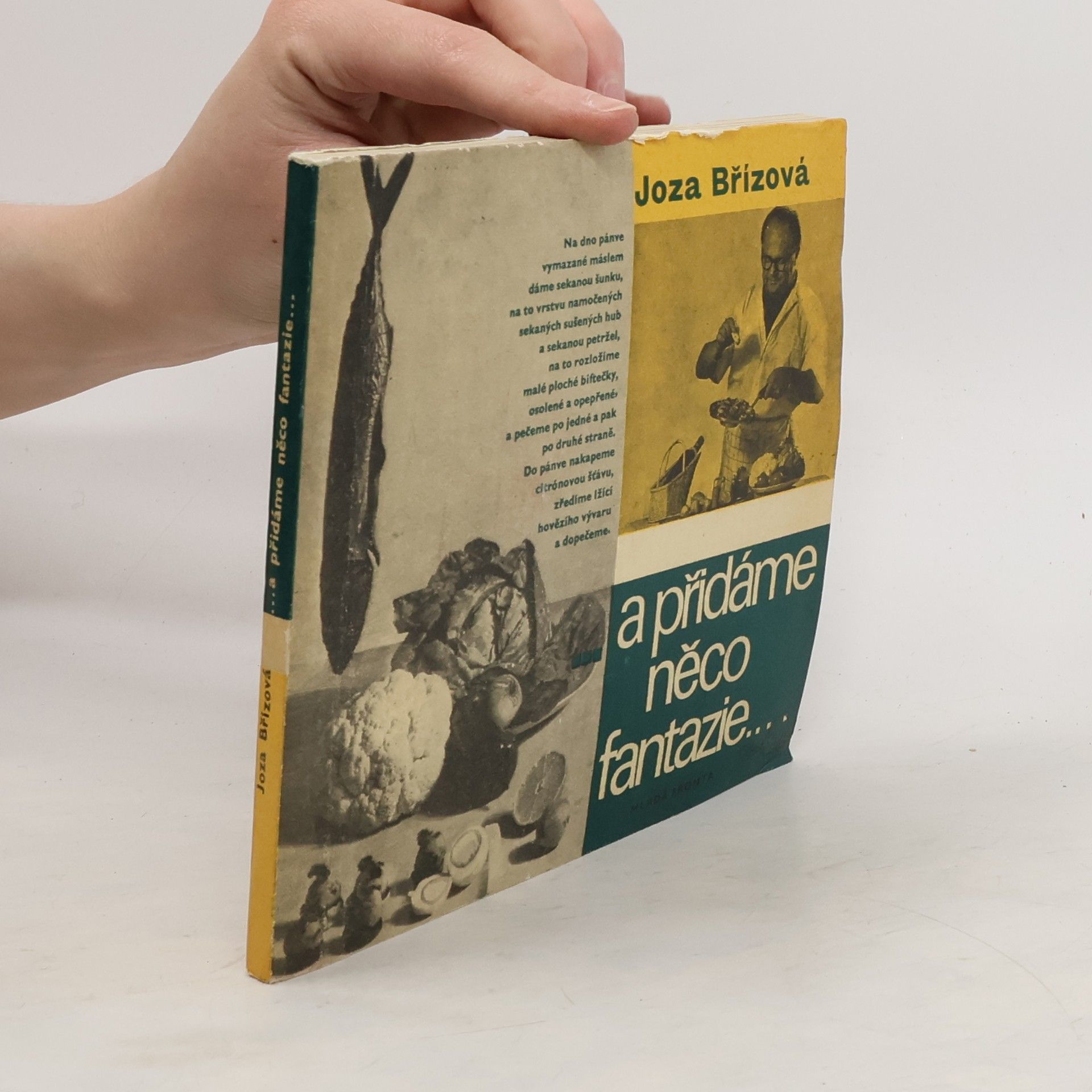 Joza Břízová a přidáme něco fantazie