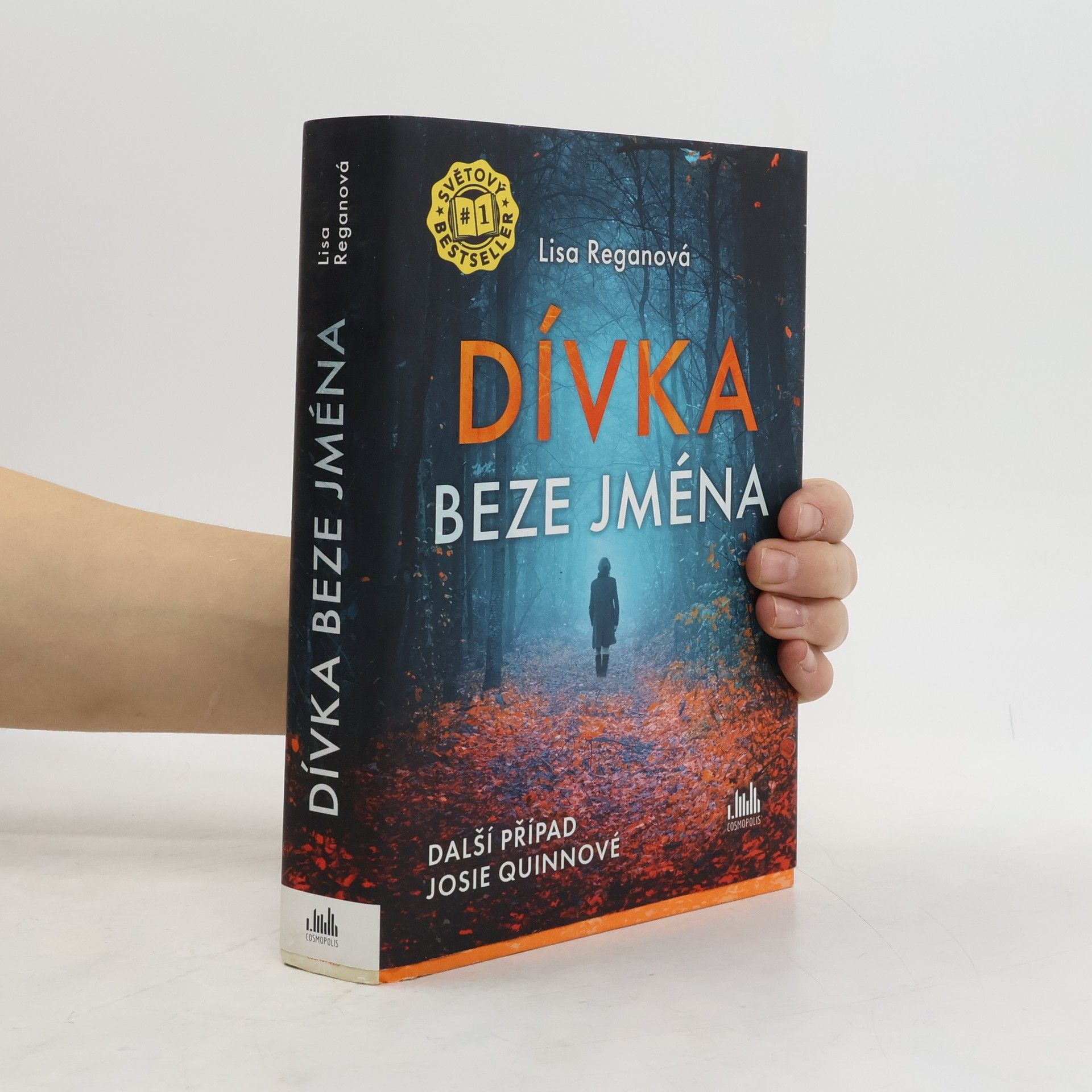 Lisa Regan Dívka beze jména: Další případ Josie Quinnové