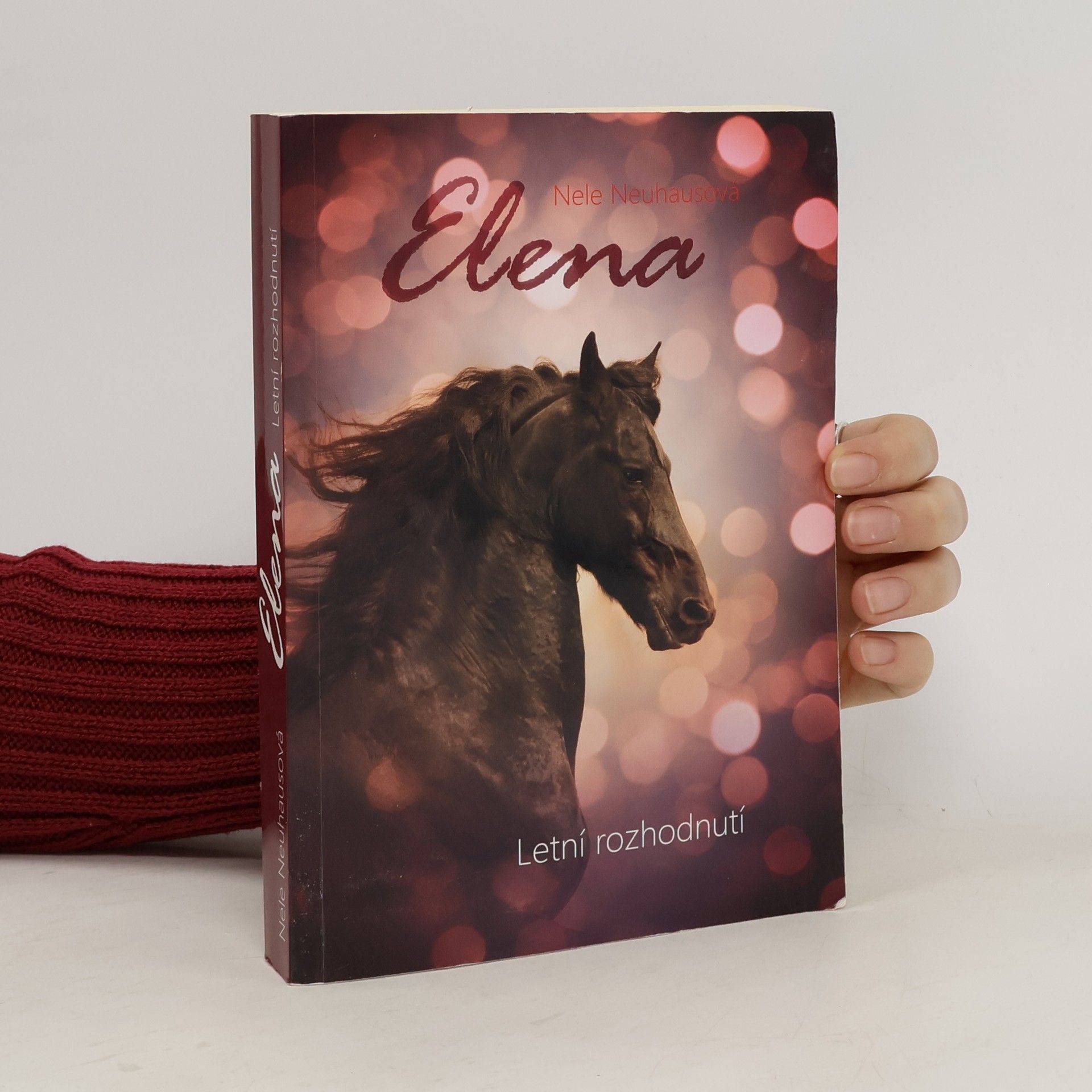 Nele Neuhaus Letní rozhodnutí