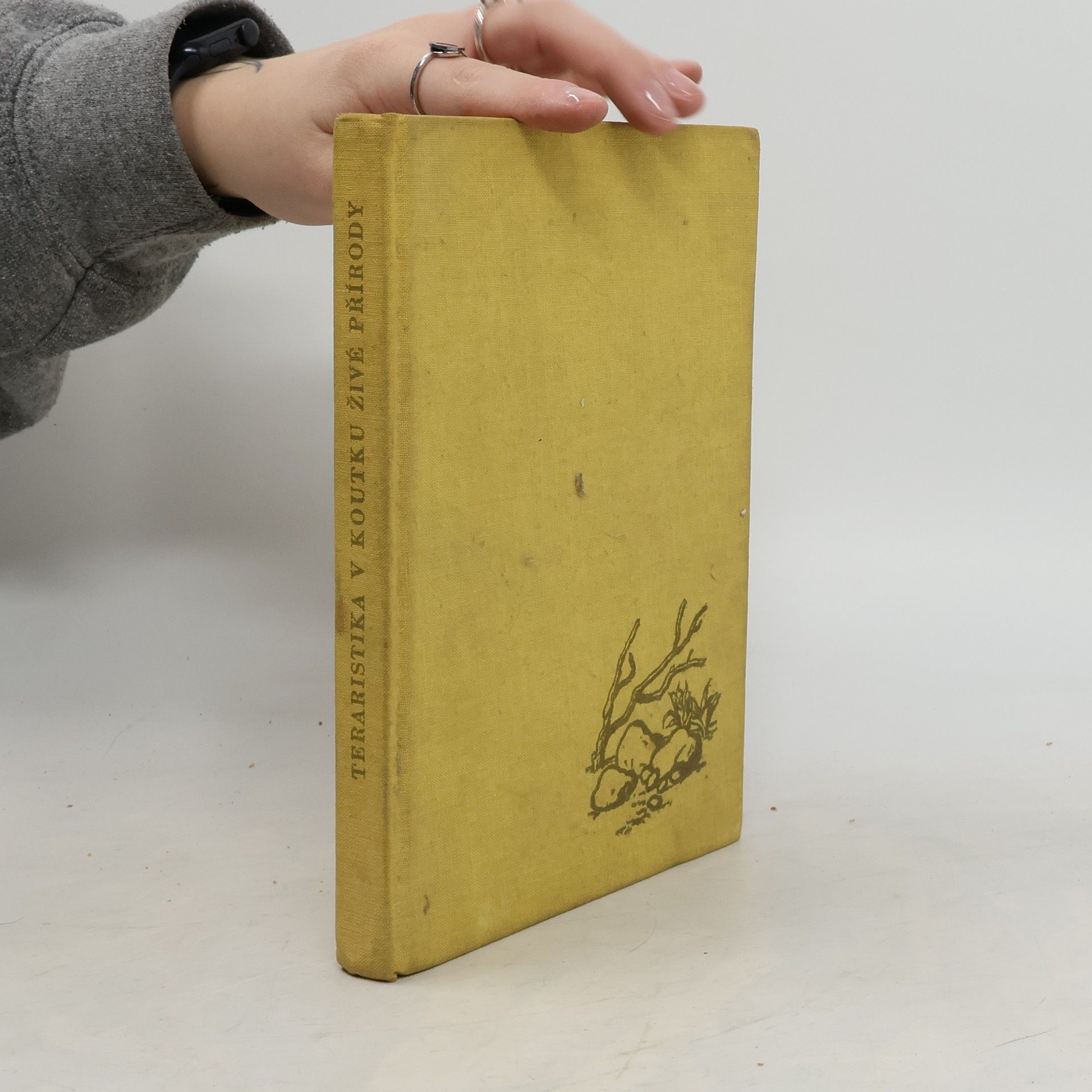 Teraristika v koutku živé přírody