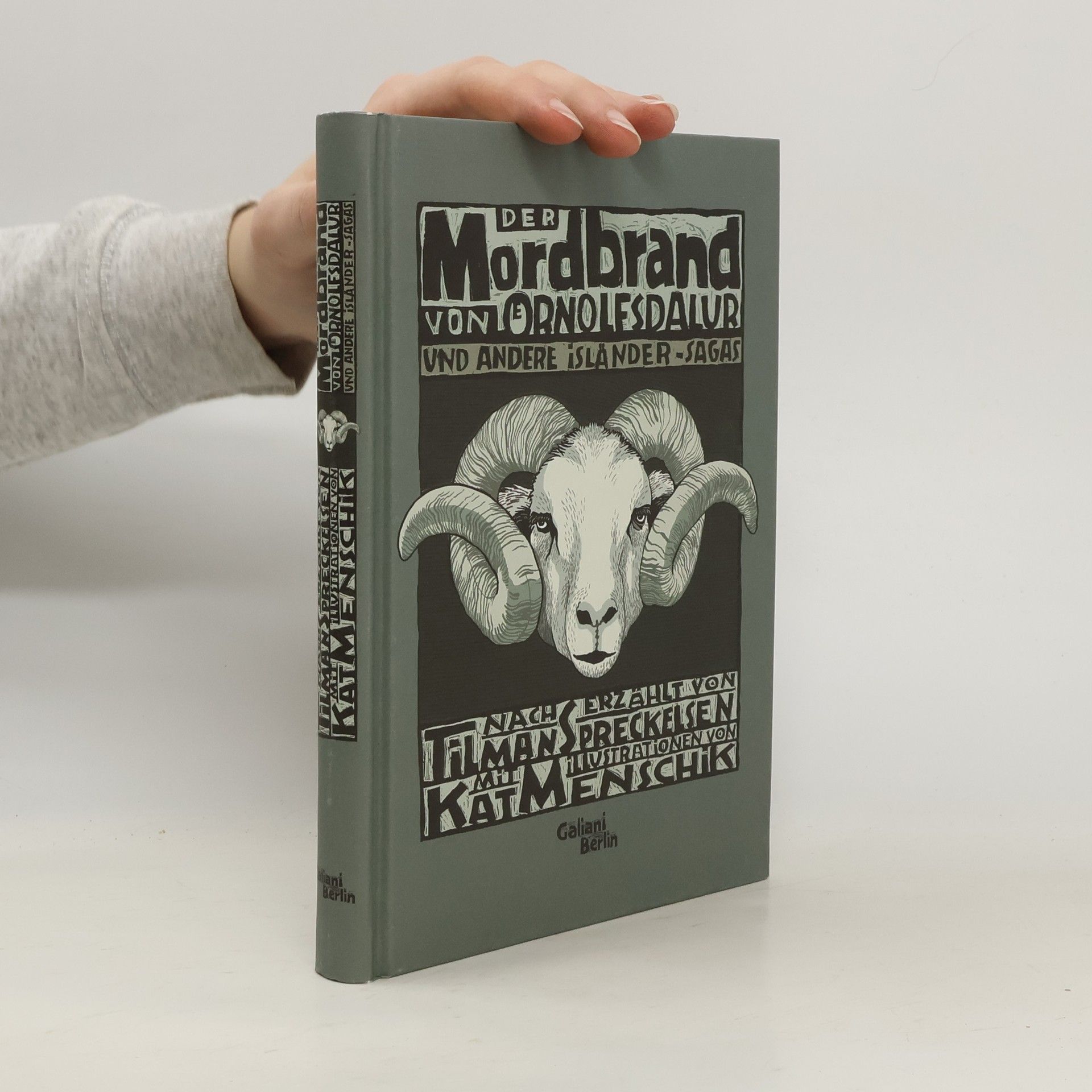 Tilman Spreckelsen Der Mordbrand von Örnolfsdalur und andere Isländer-Sagas