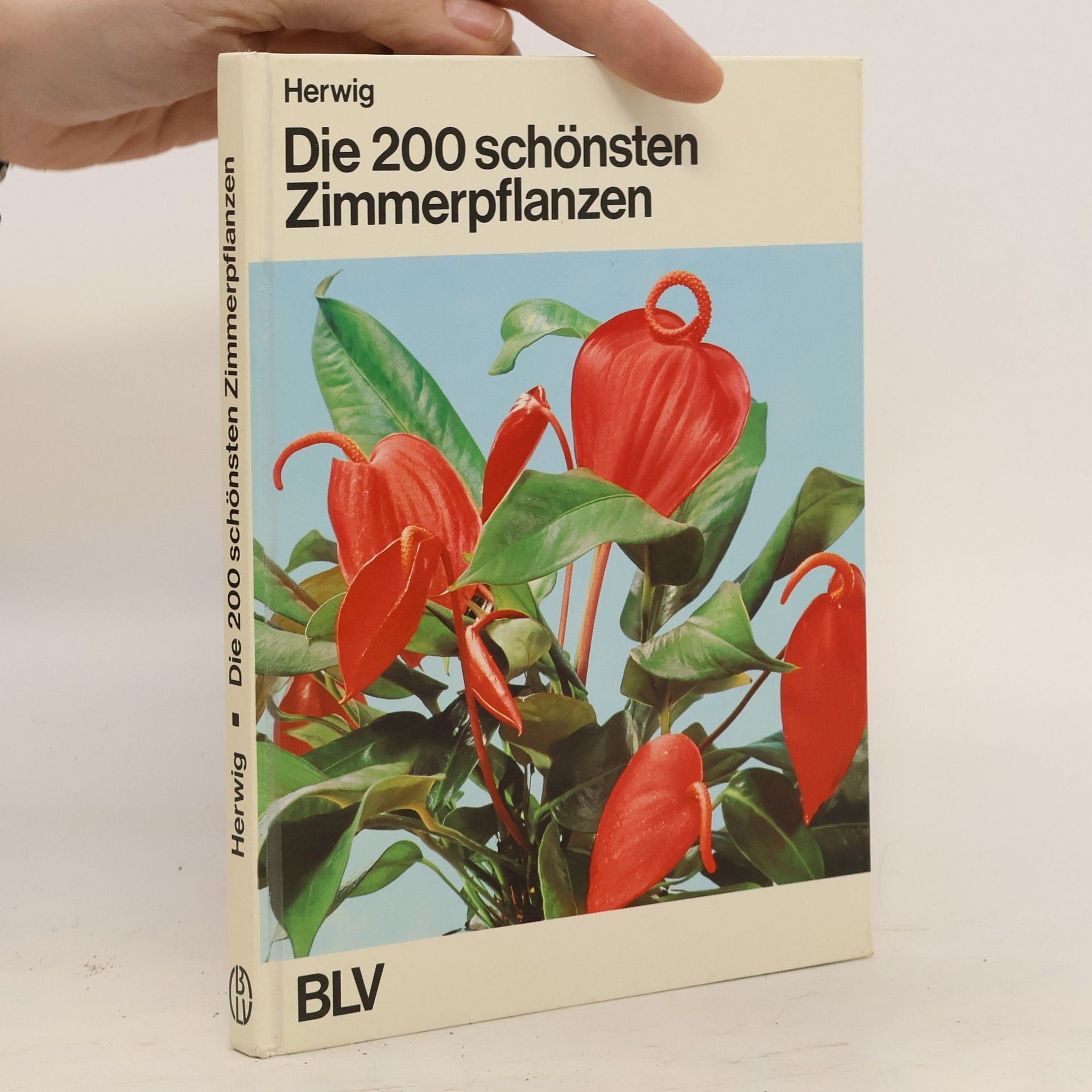 Rob Hewig Die 200 [zweihundert] schönsten Zimmerpflanzen
