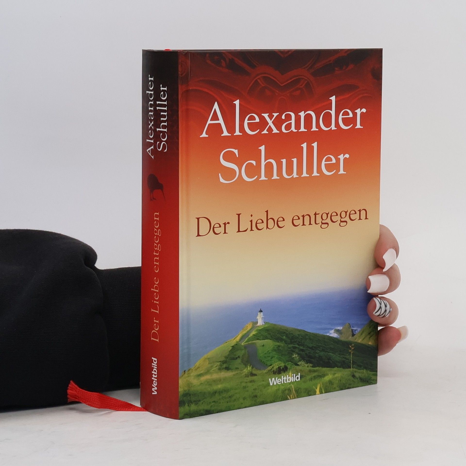 Alexander Schuller Der Liebe entgegen