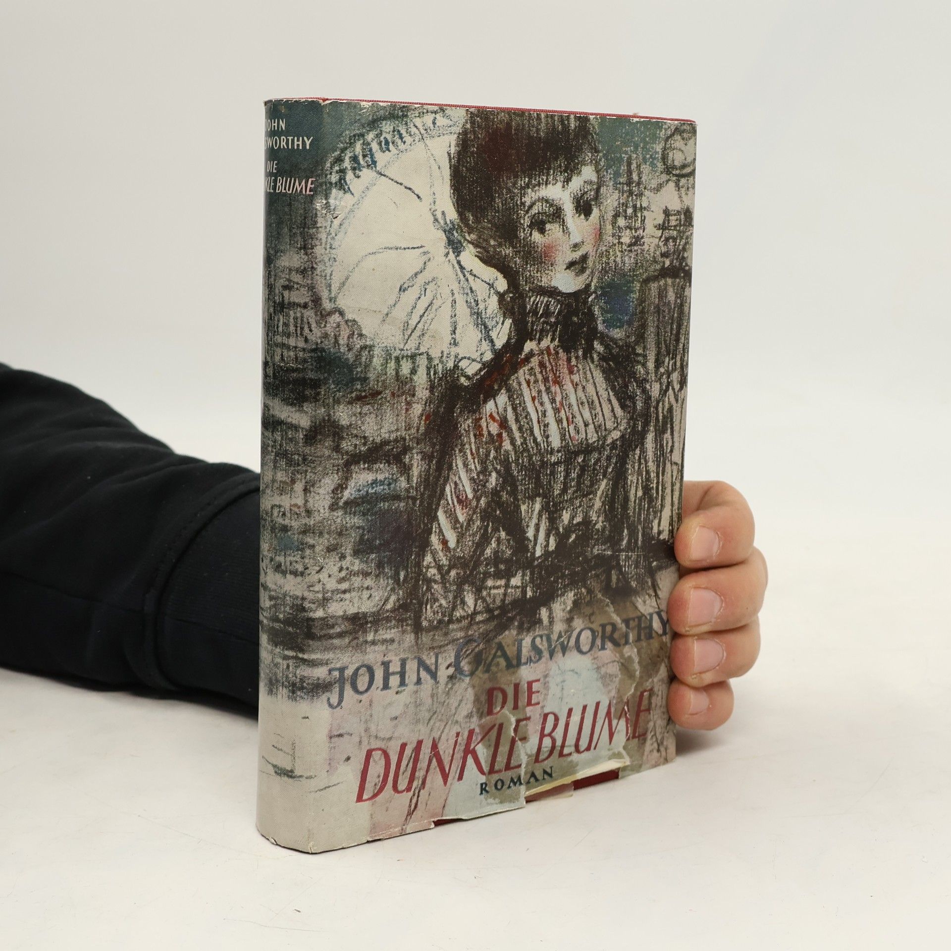 John Galsworthy Die dunkle Blume