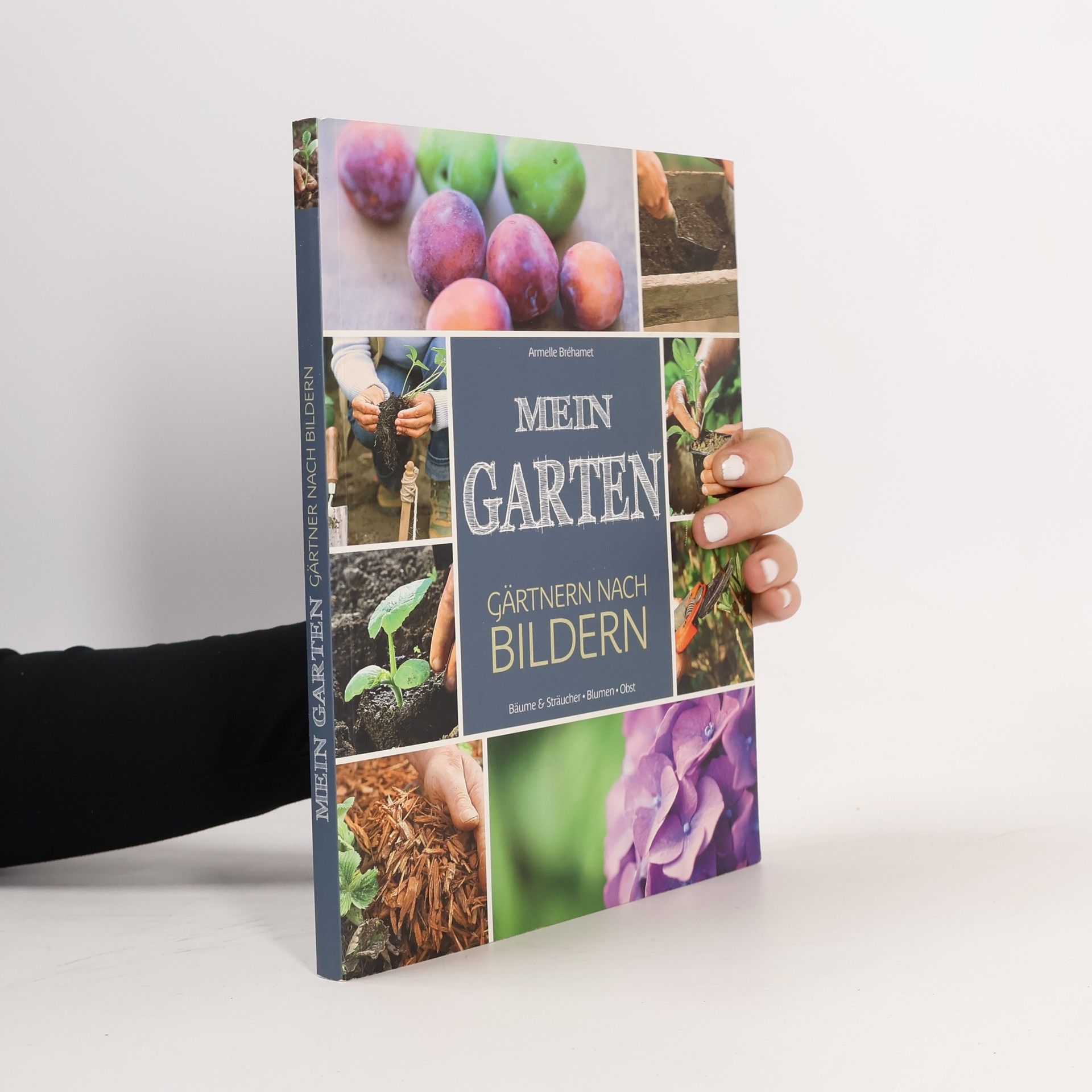 Armelle Bréhamet Mein Garten