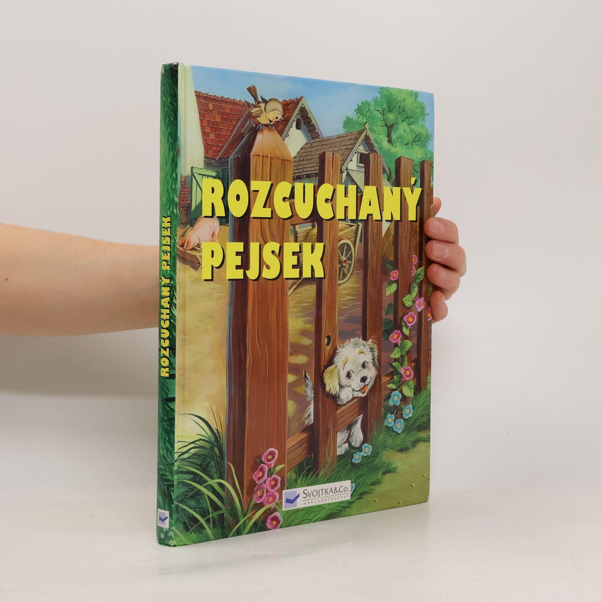 Csaba Feketű Neobyčejná dobrodružství pejska Chlupáčka