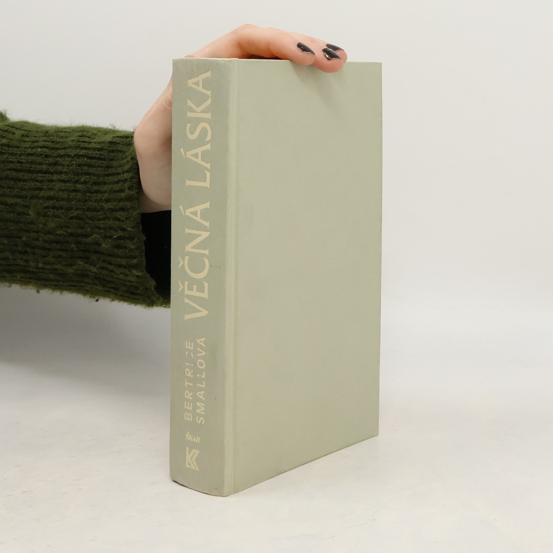 Bertrice Small Věčná láska