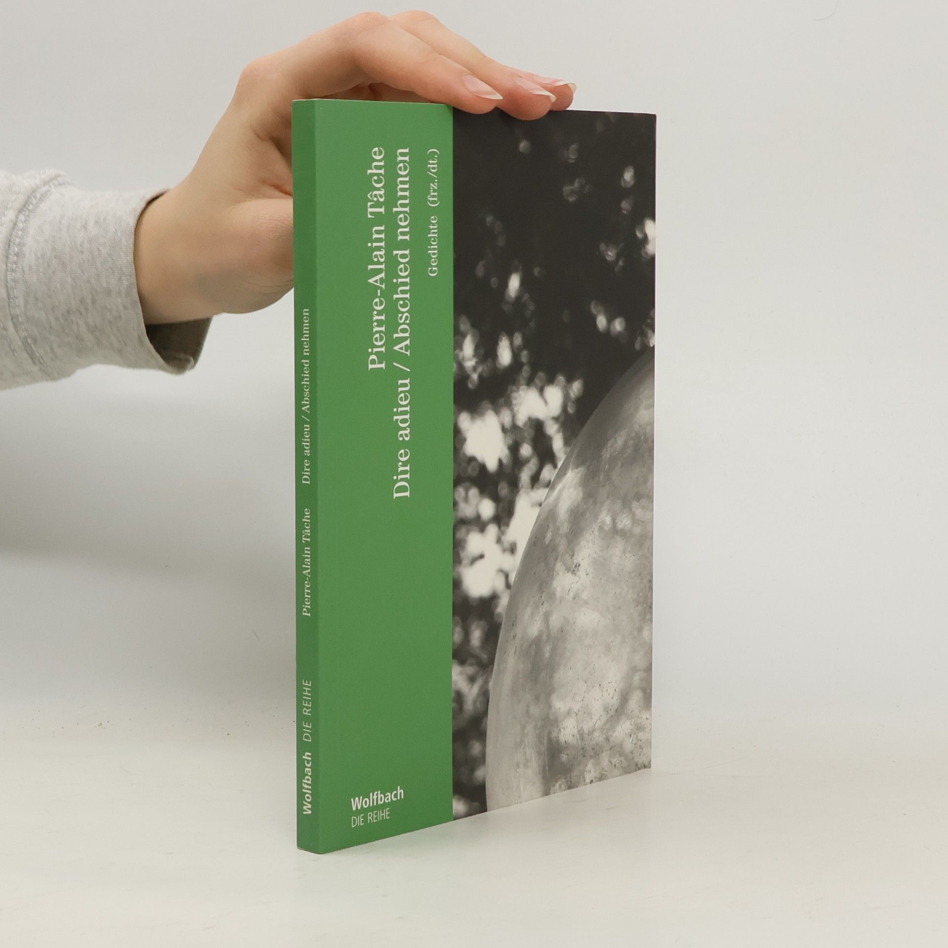 Pierre-Alain Tâche Dire adieu