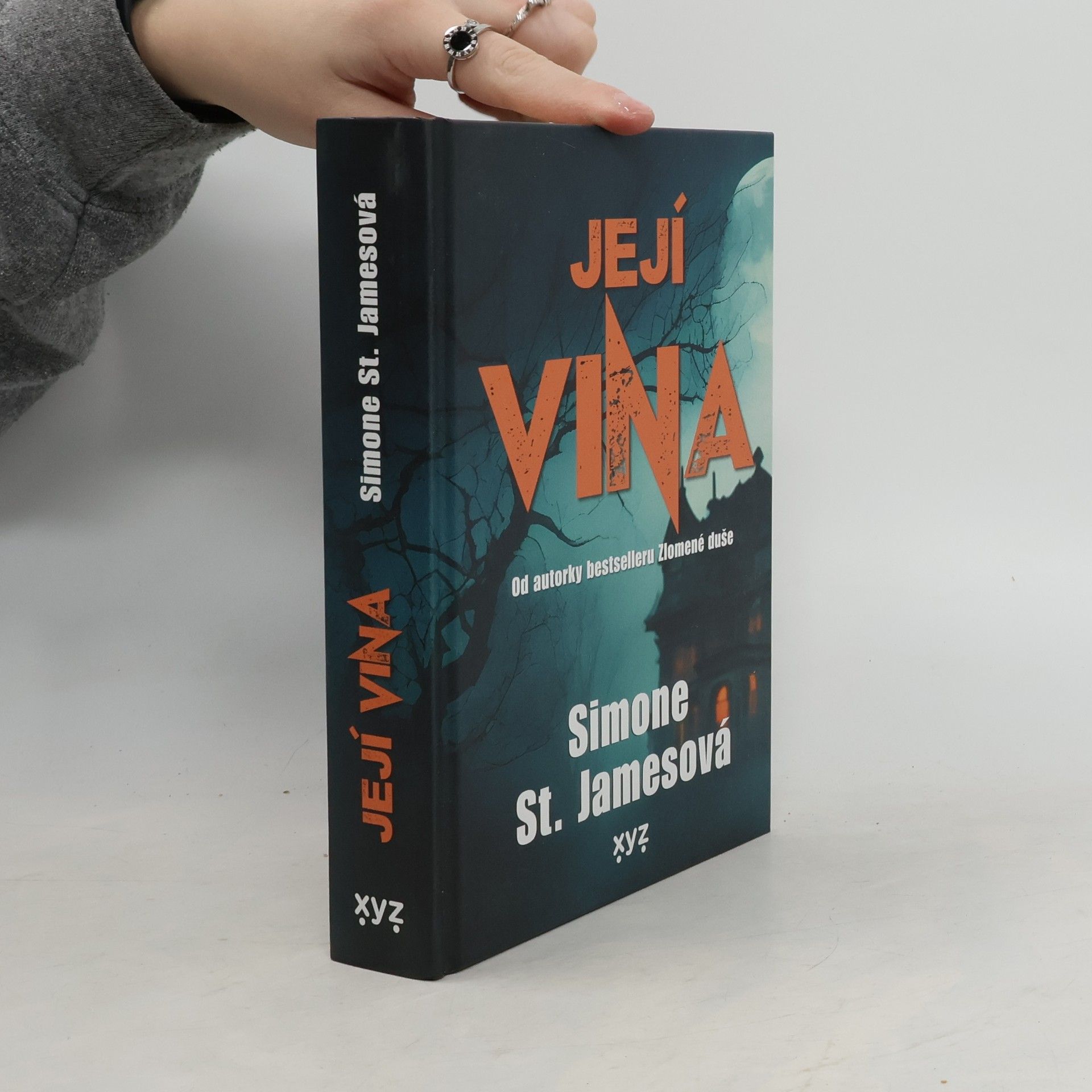 Simone St. James Její vina
