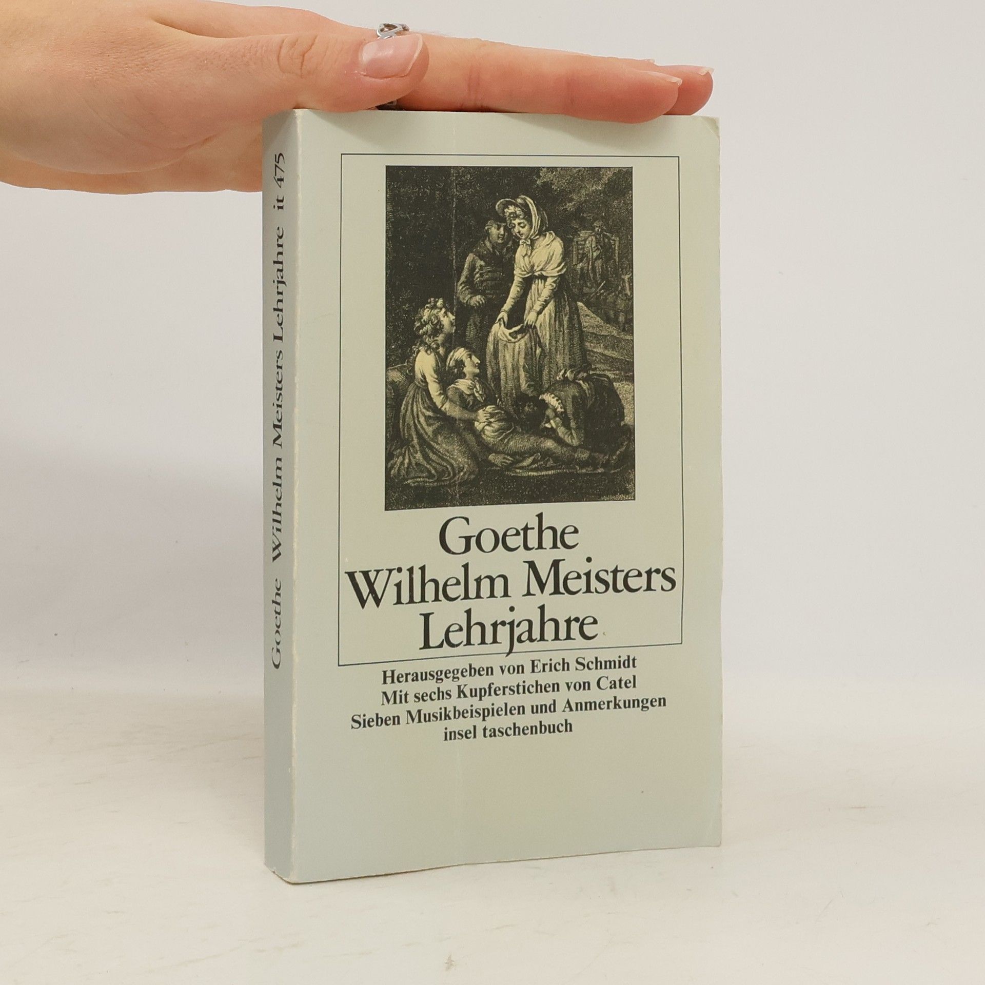 Johann Wolfgang von Goethe Wilhelm Meisters Lehrjahre