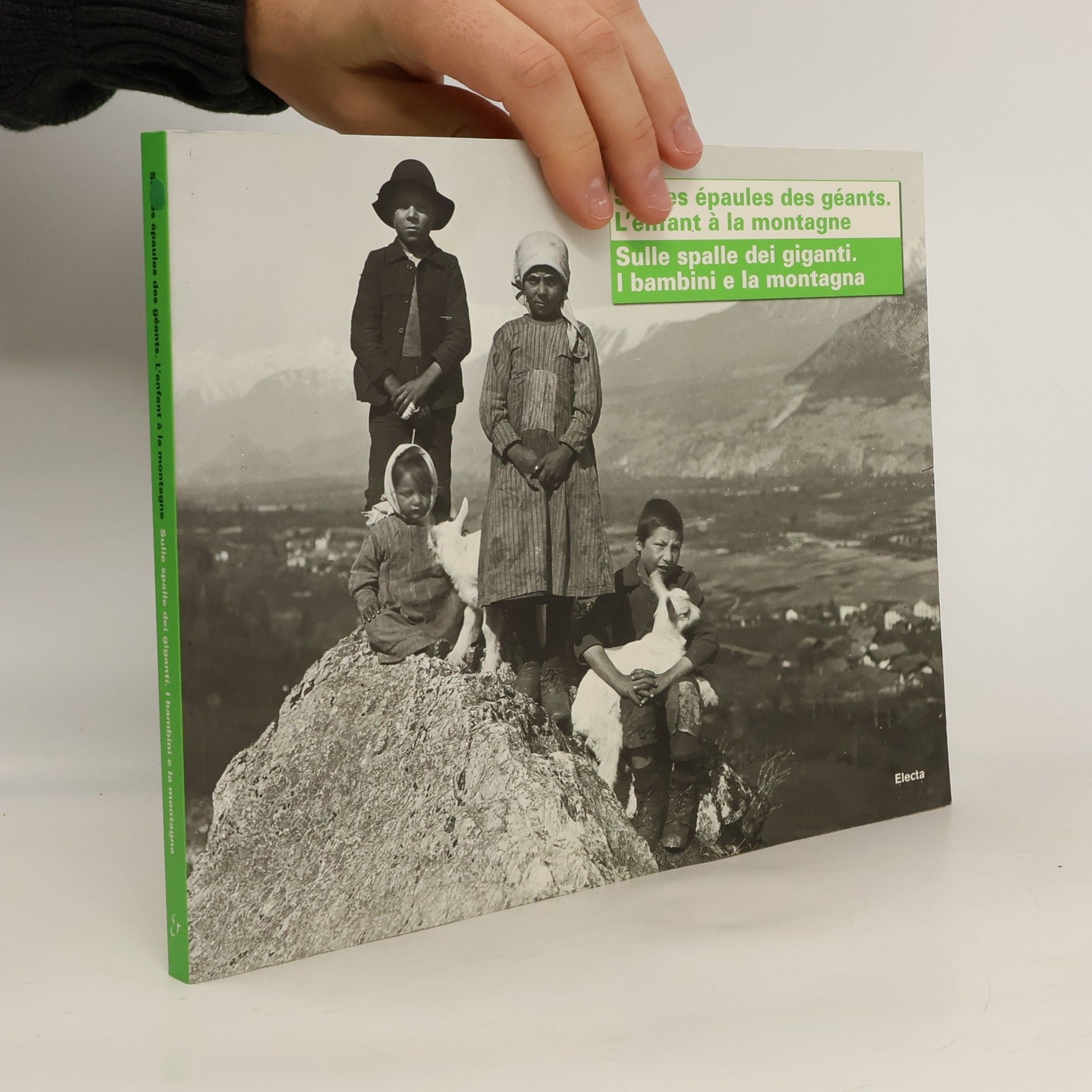 Luigi Danna Sulle spalle dei giganti