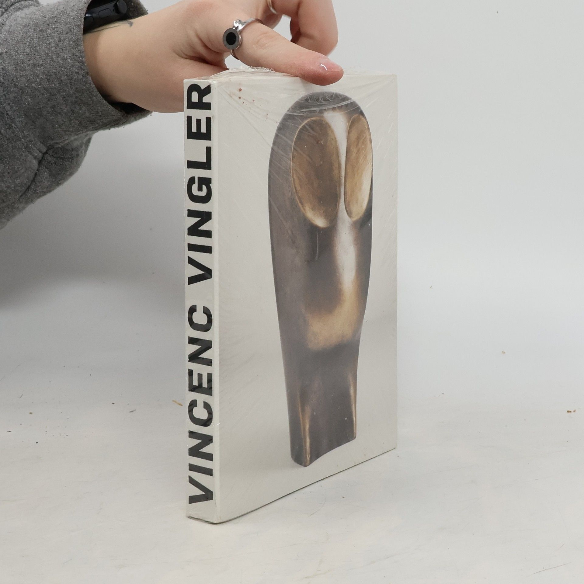 AA.VV. Vincenc Vingler