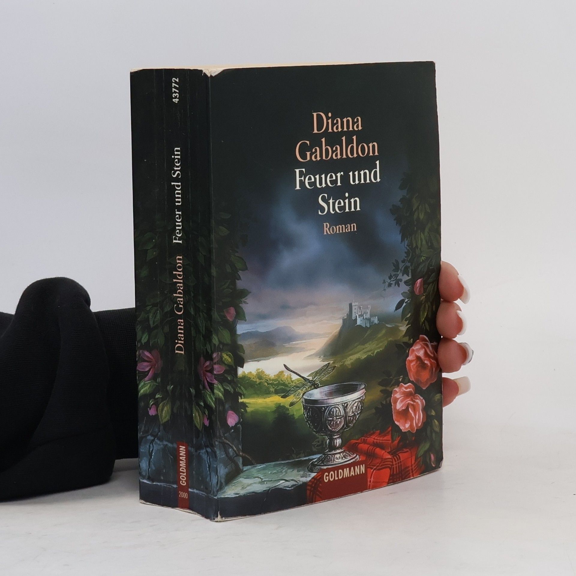 Diana Gabaldon Feuer und Stein