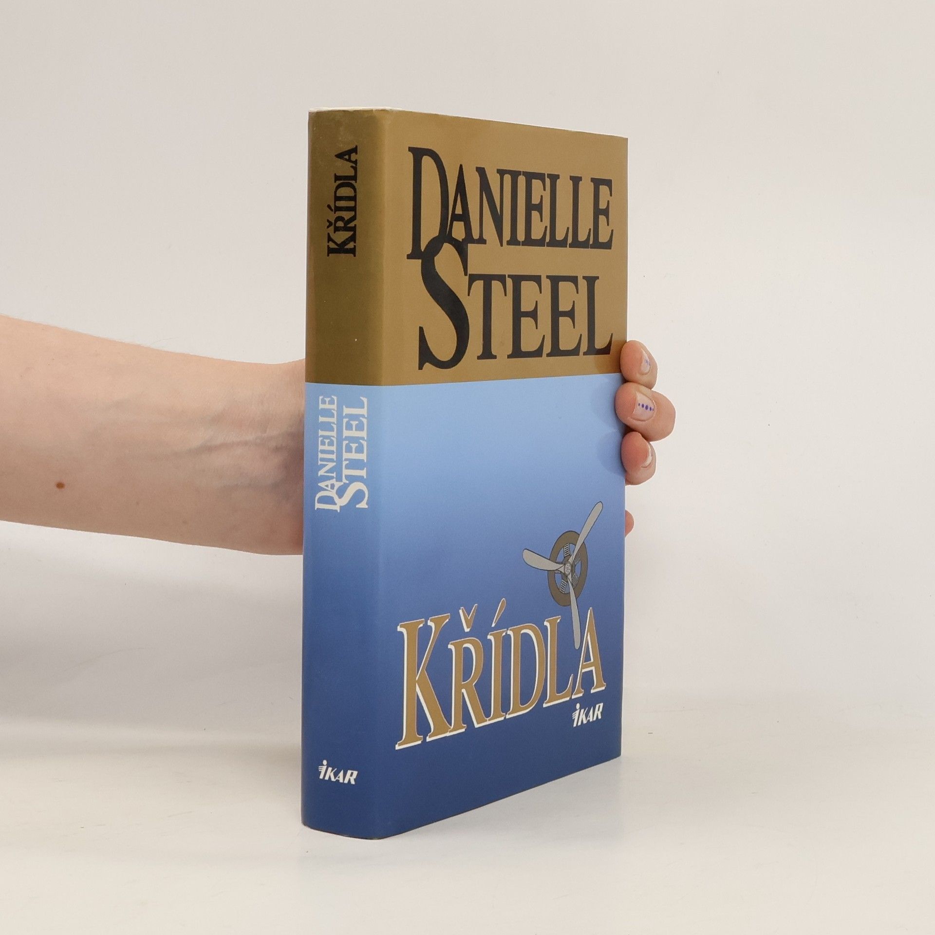 Danielle Steel Křídla