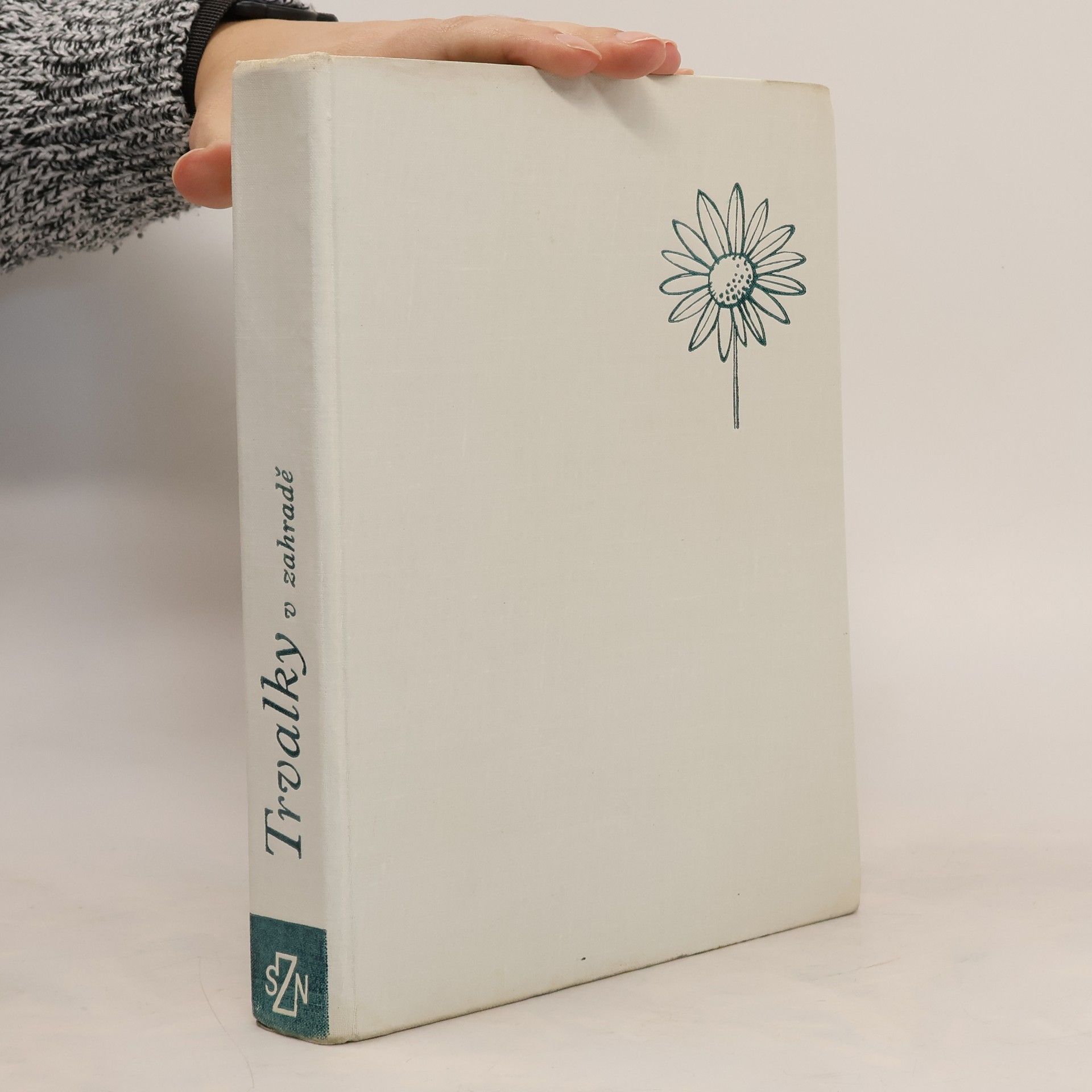 AA.VV. Trvalky v zahradě