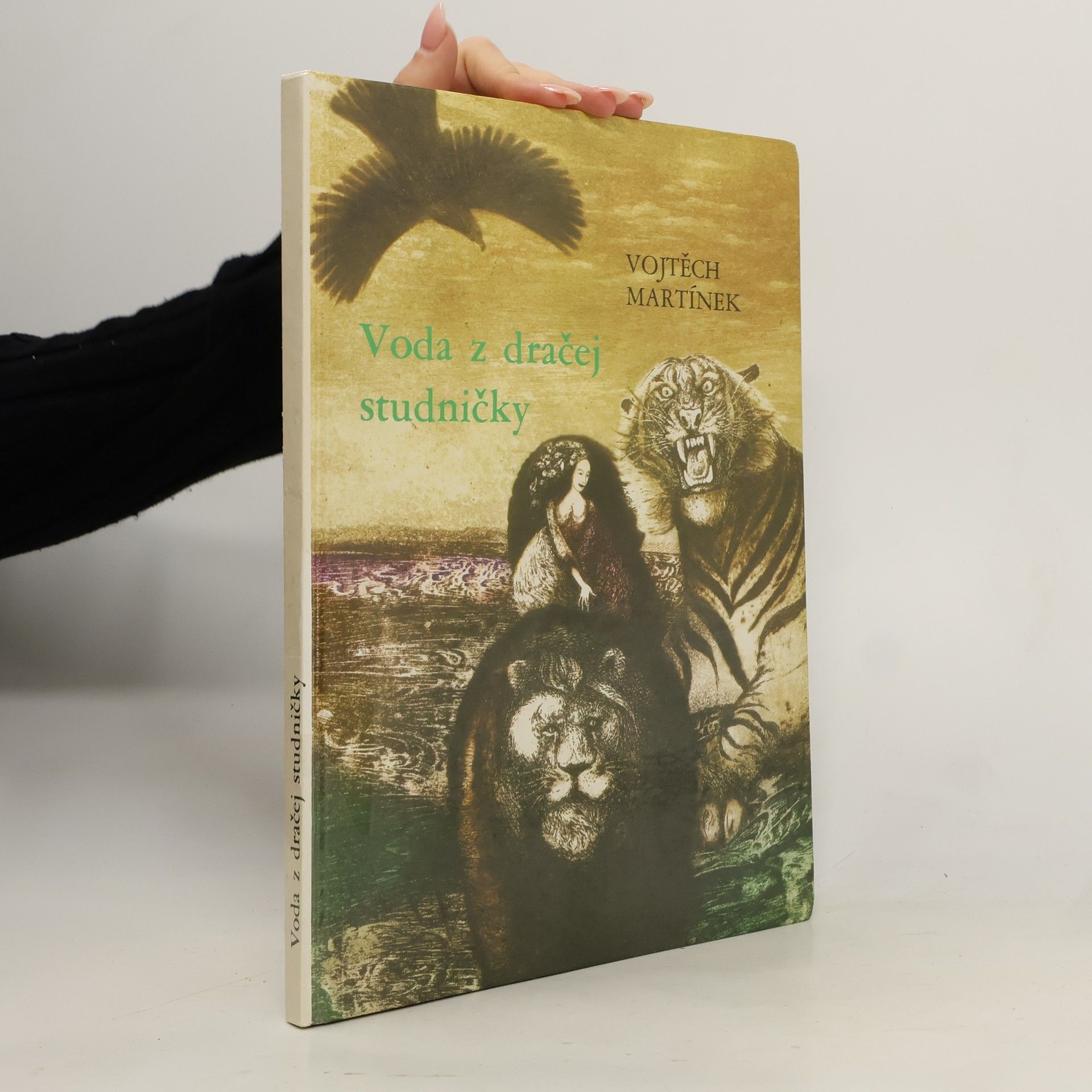 Vojtěch Martínek Voda z dračej studničky