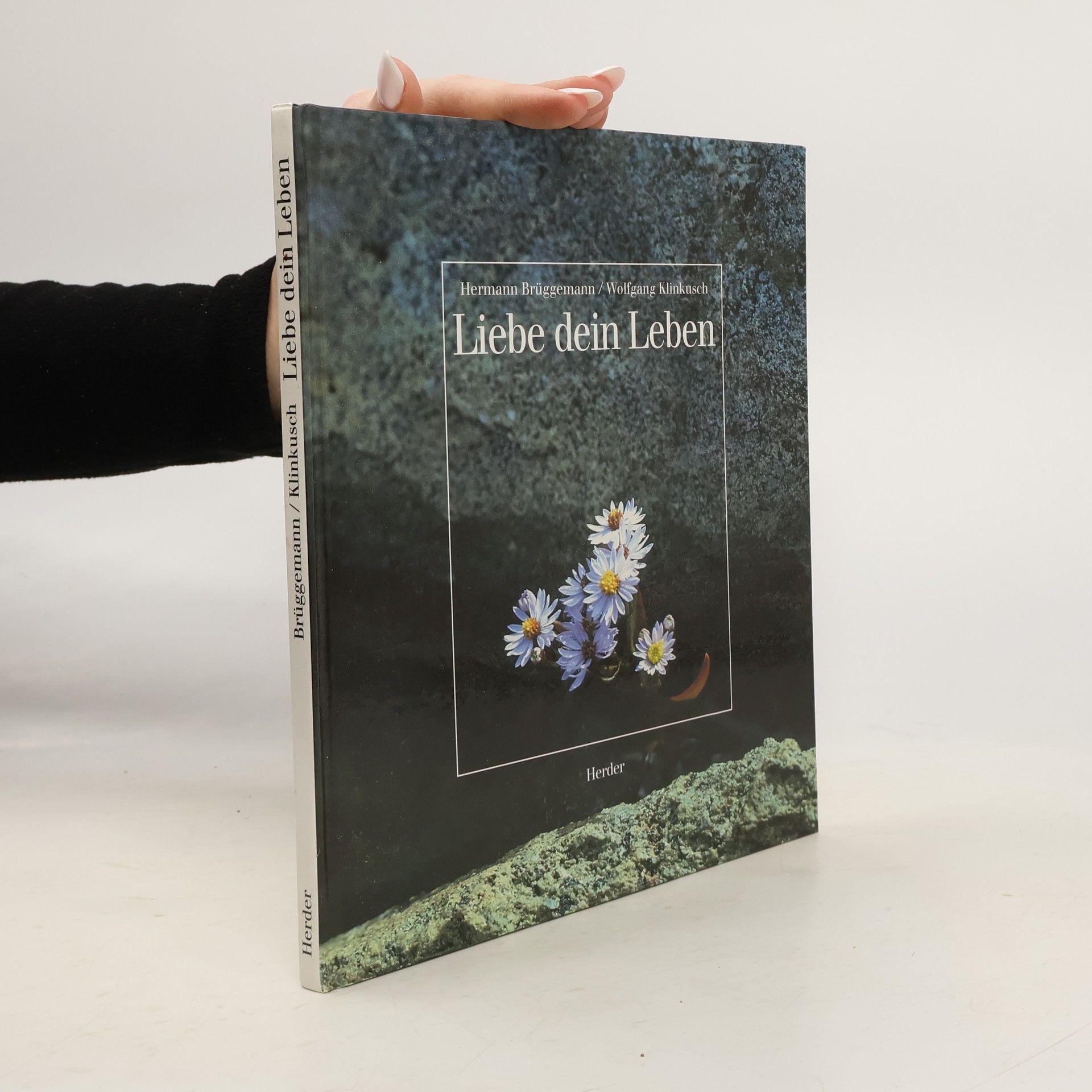 Autorenkollektiv Liebe dein Leben