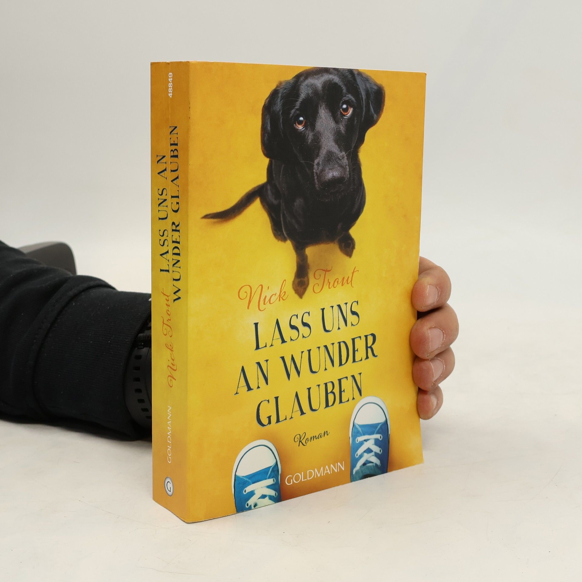 Nick Trout Lass uns an Wunder glauben