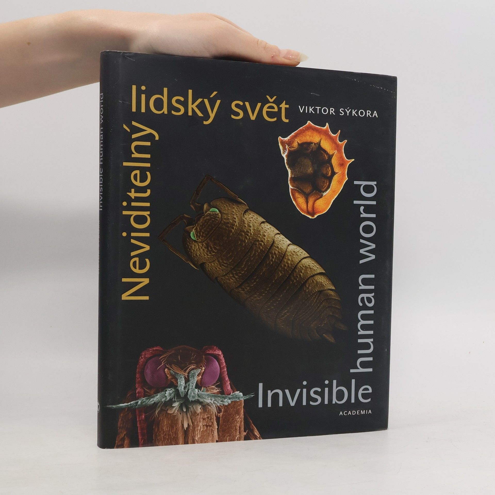Viktor Sýkora Neviditelný lidský svět