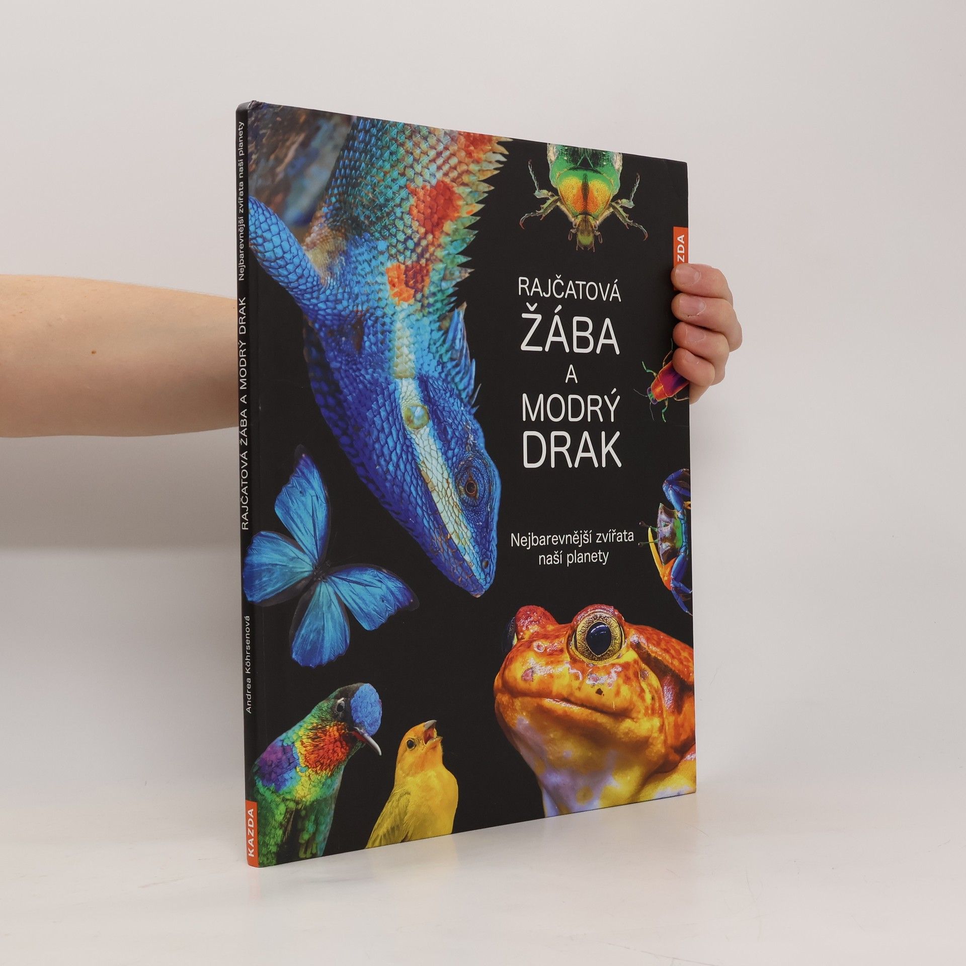 Collectif d'auteurs Rajčatová žába a modrý drak: nejbarevnější zvířata naší planety