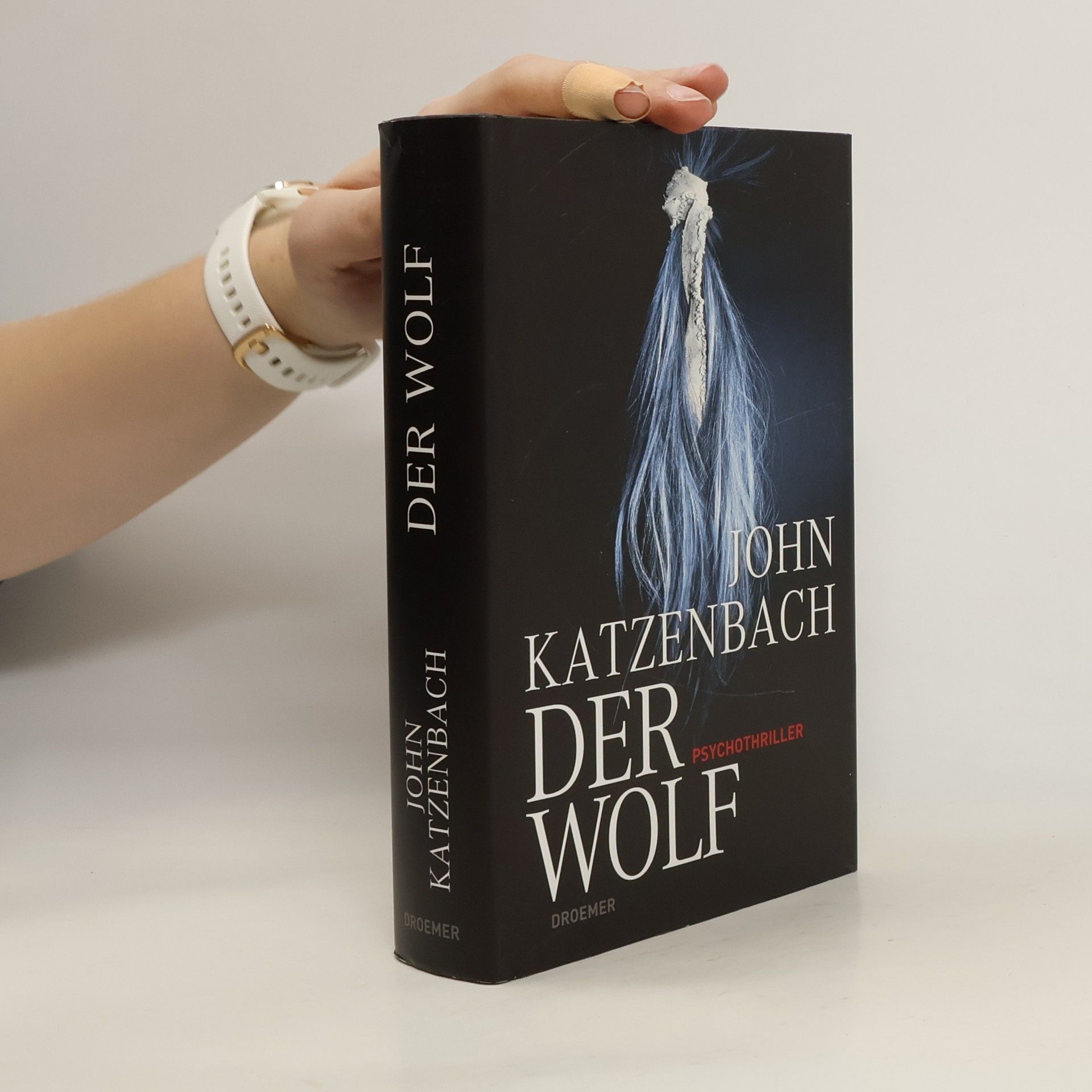John Katzenbach Der Wolf