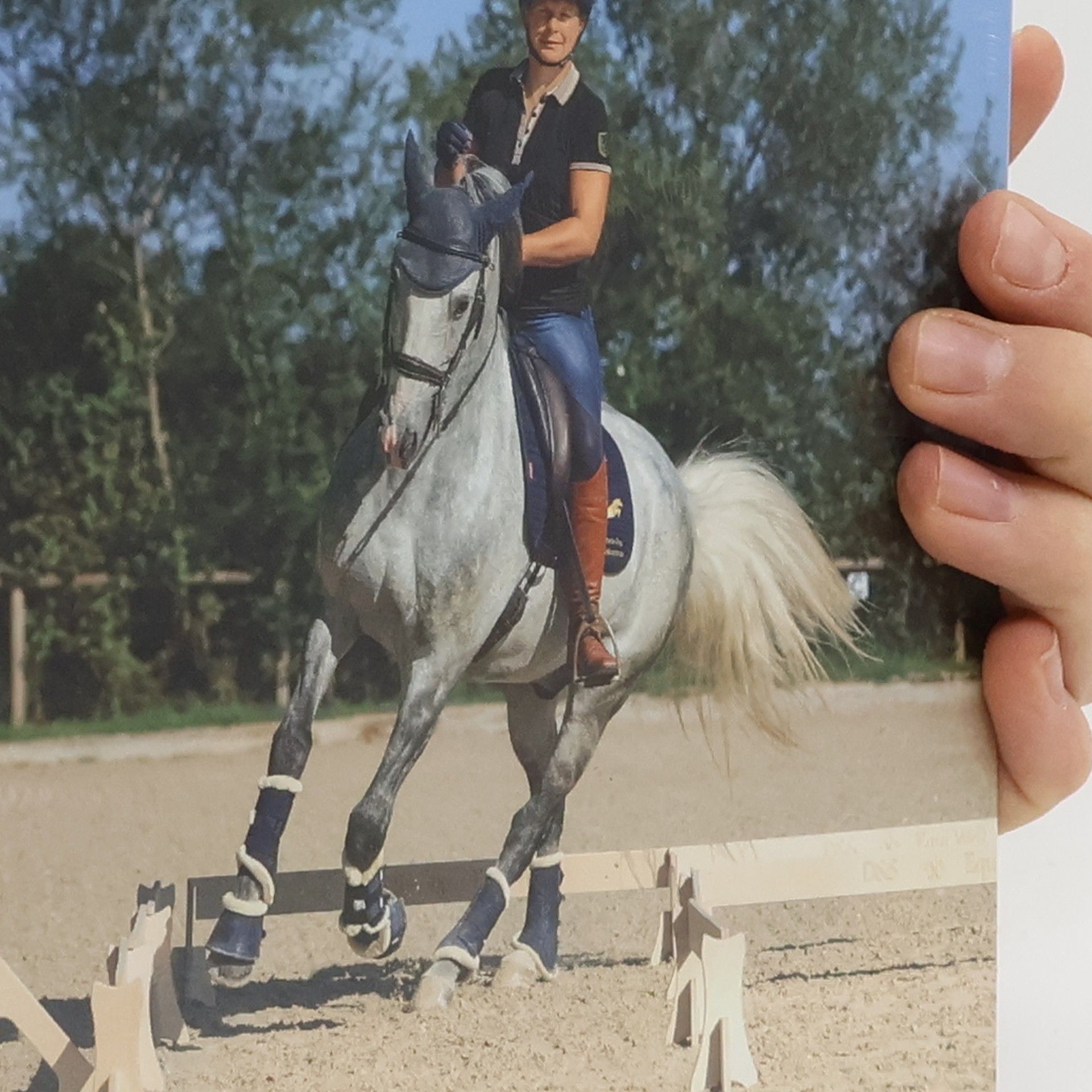 Barbora Linhartová Working - Equitation