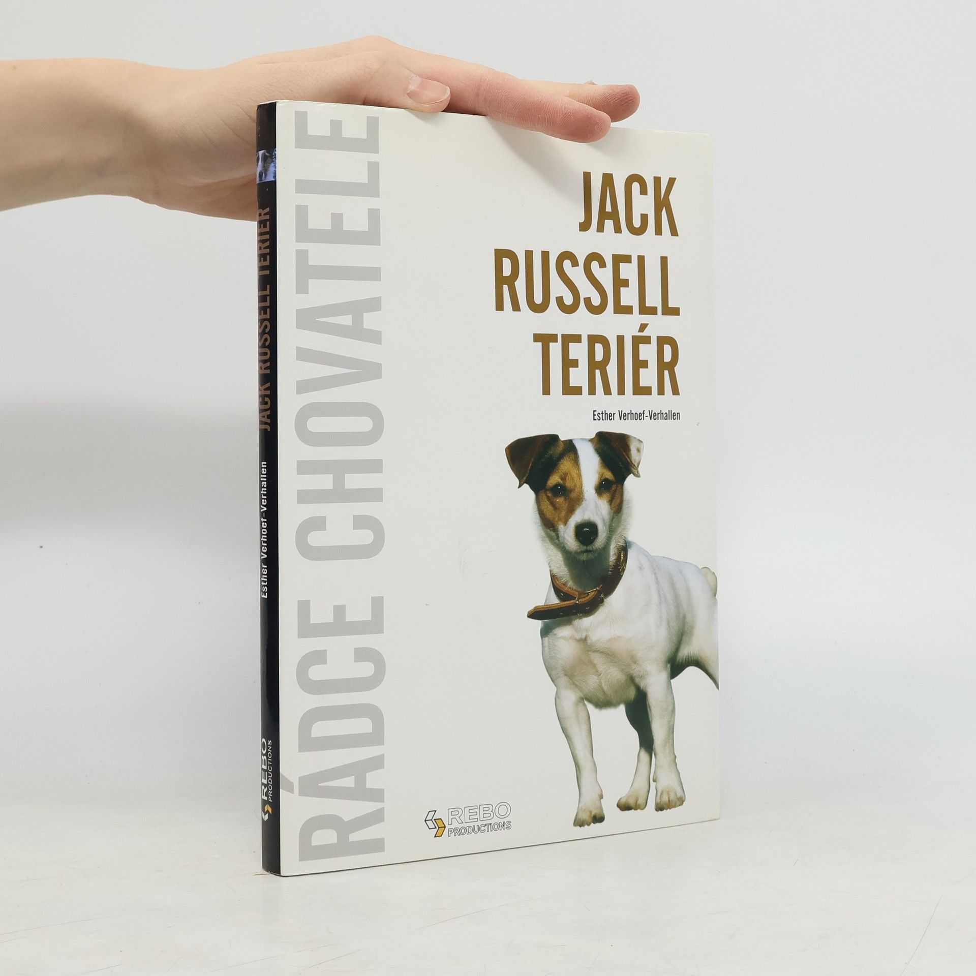 Berry Verhoef Jack Russell teriér