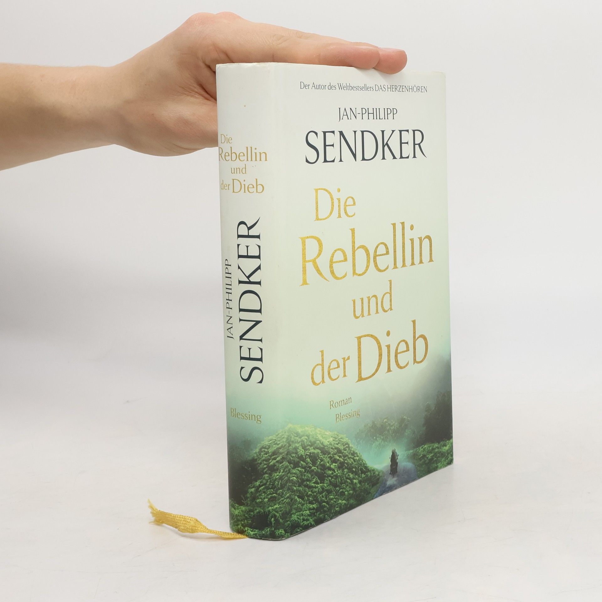 Jan-Philipp Sendker Die Rebellin und der Dieb