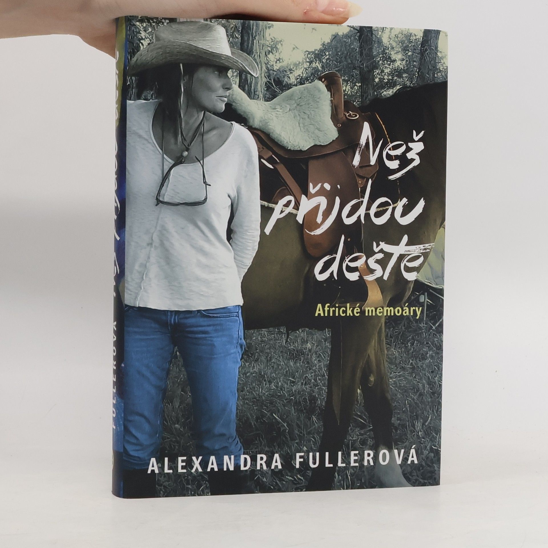 Než přijdou deště : africké memoáry