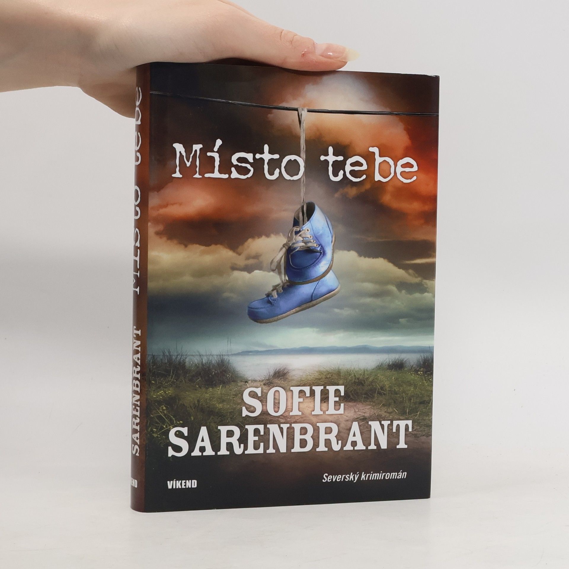 Sofie Sarenbrant Místo tebe