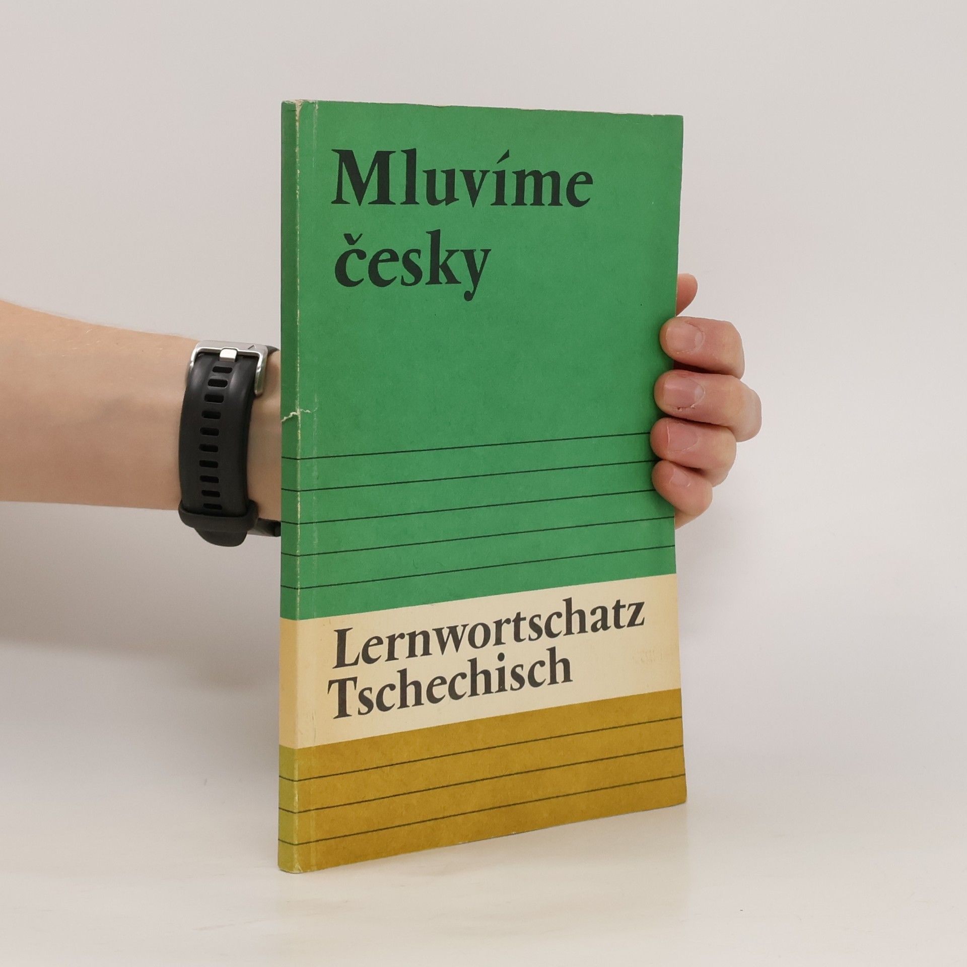 Autorenkollektiv Mluvíme česky