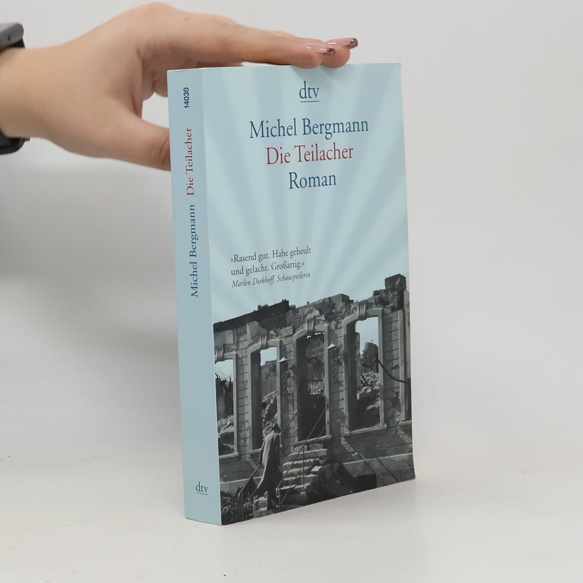 Michel Bergmann Die Teilacher