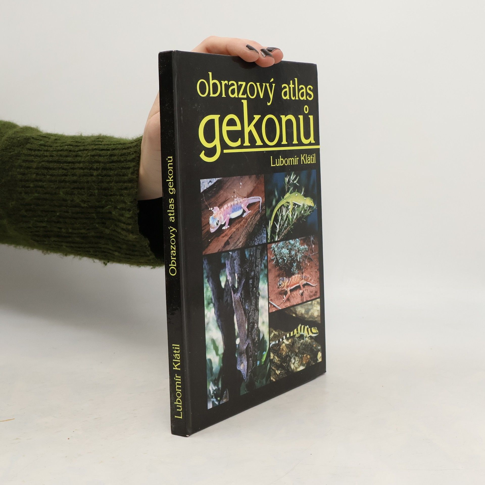 Obrazový atlas gekonů