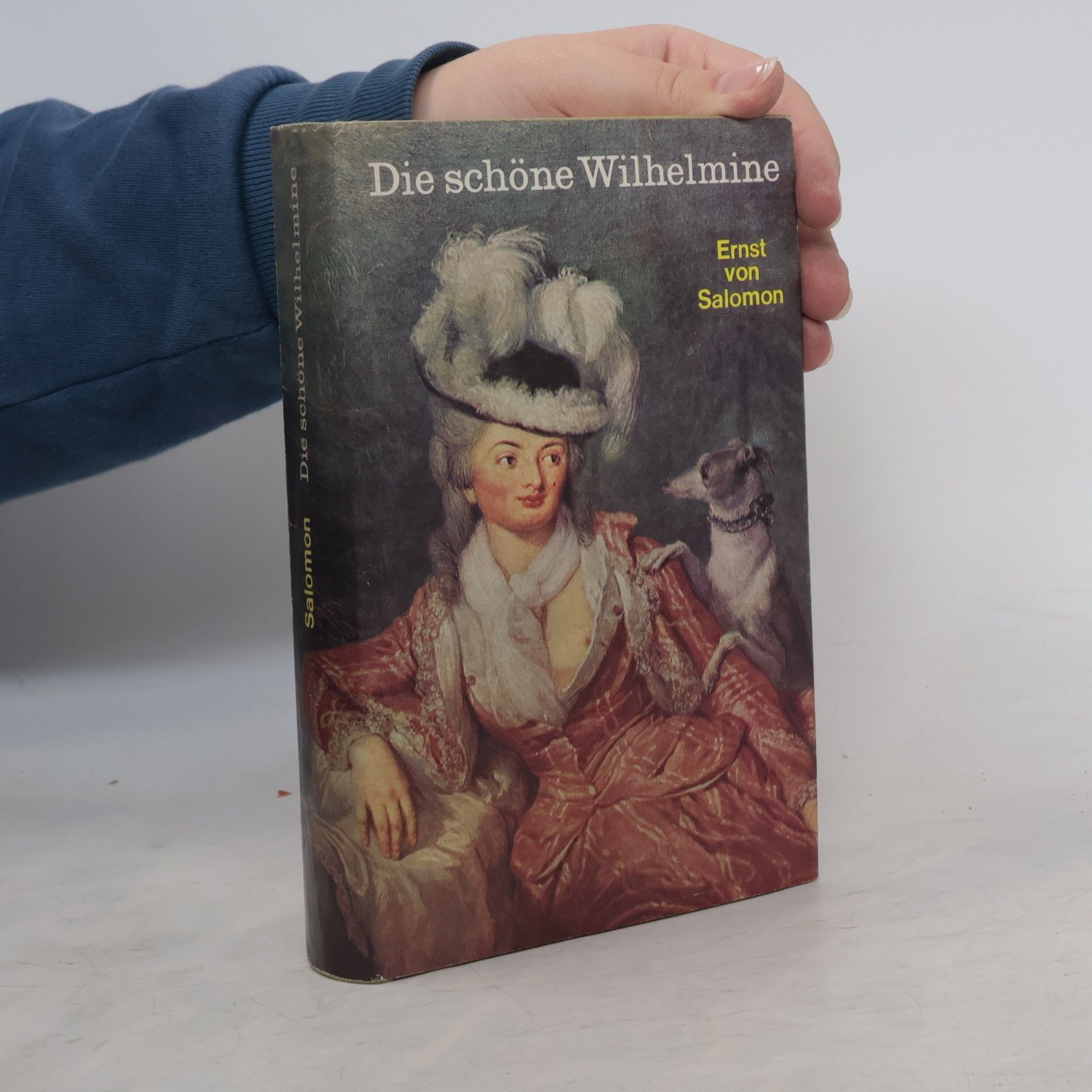 Ernst von Salomon Die schöne Wilhelmine