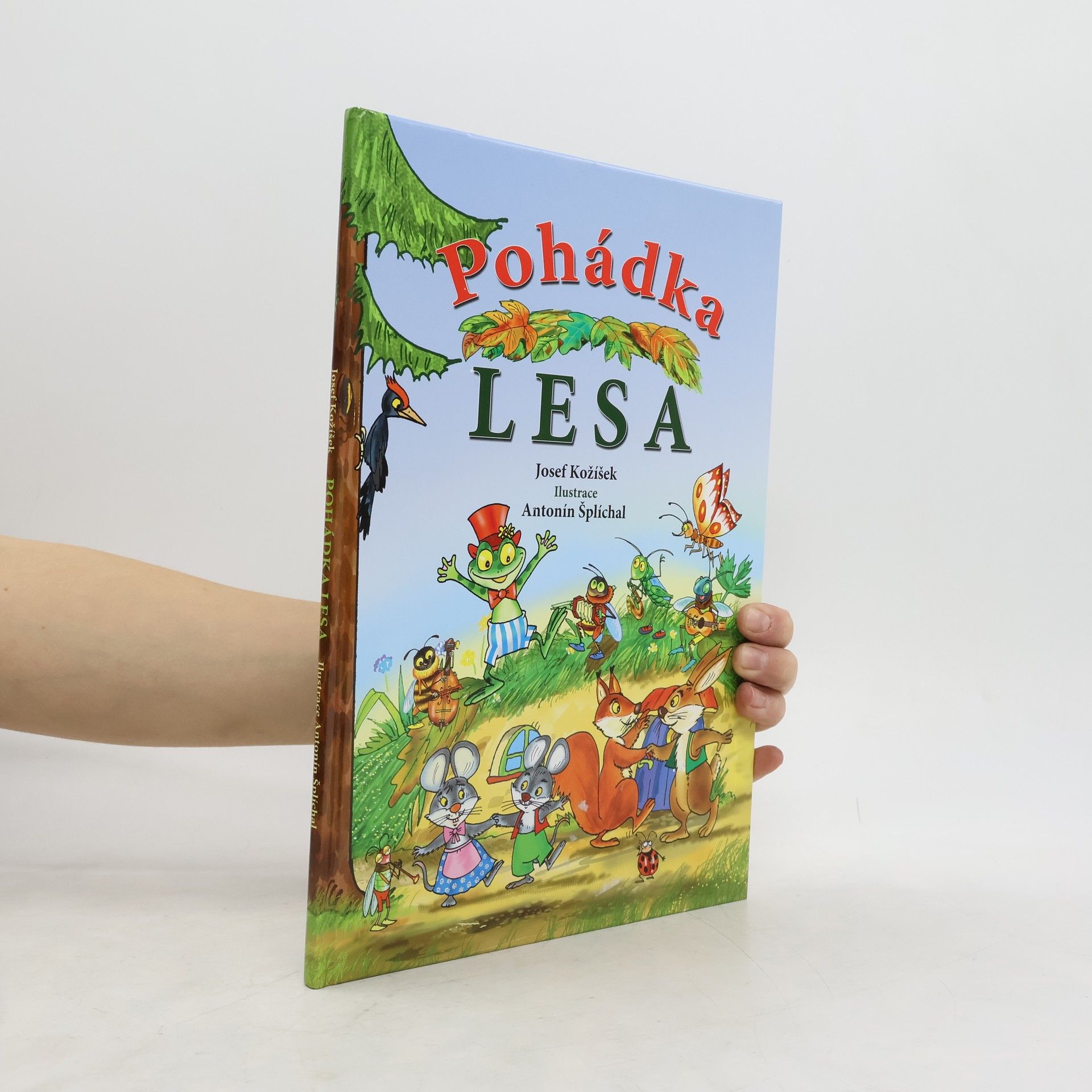 Pohádka lesa