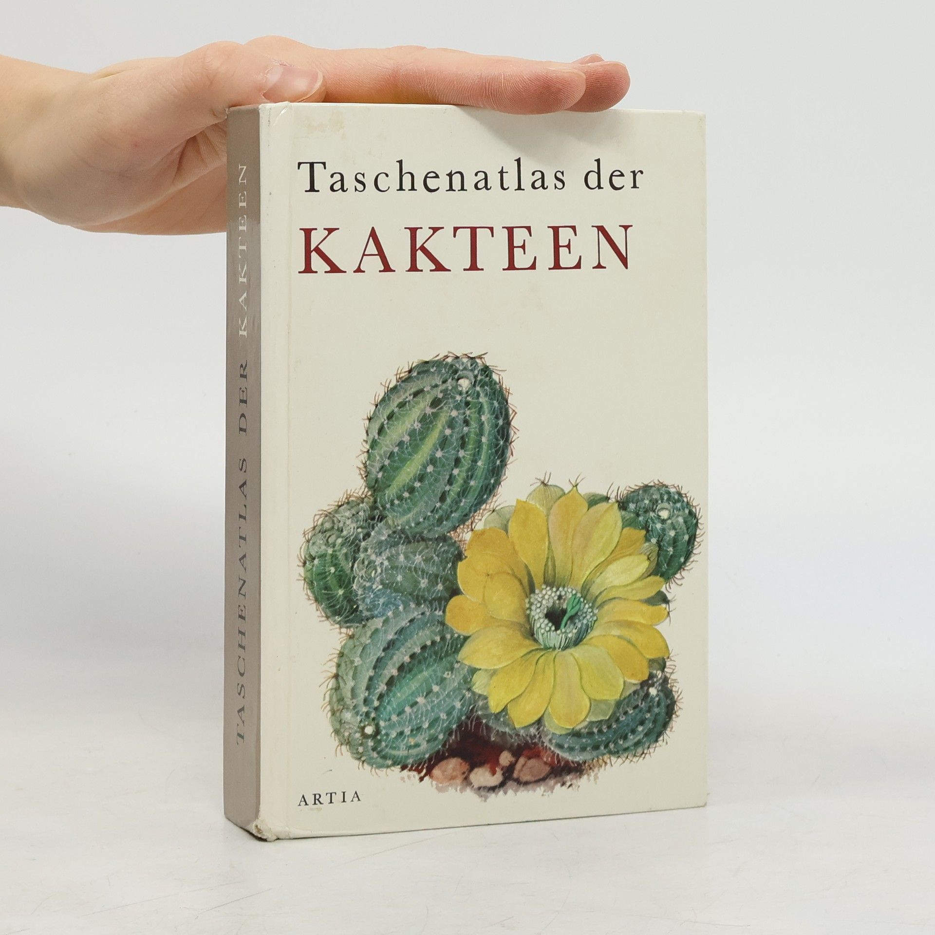 Rudolf Šubík Kaktusy