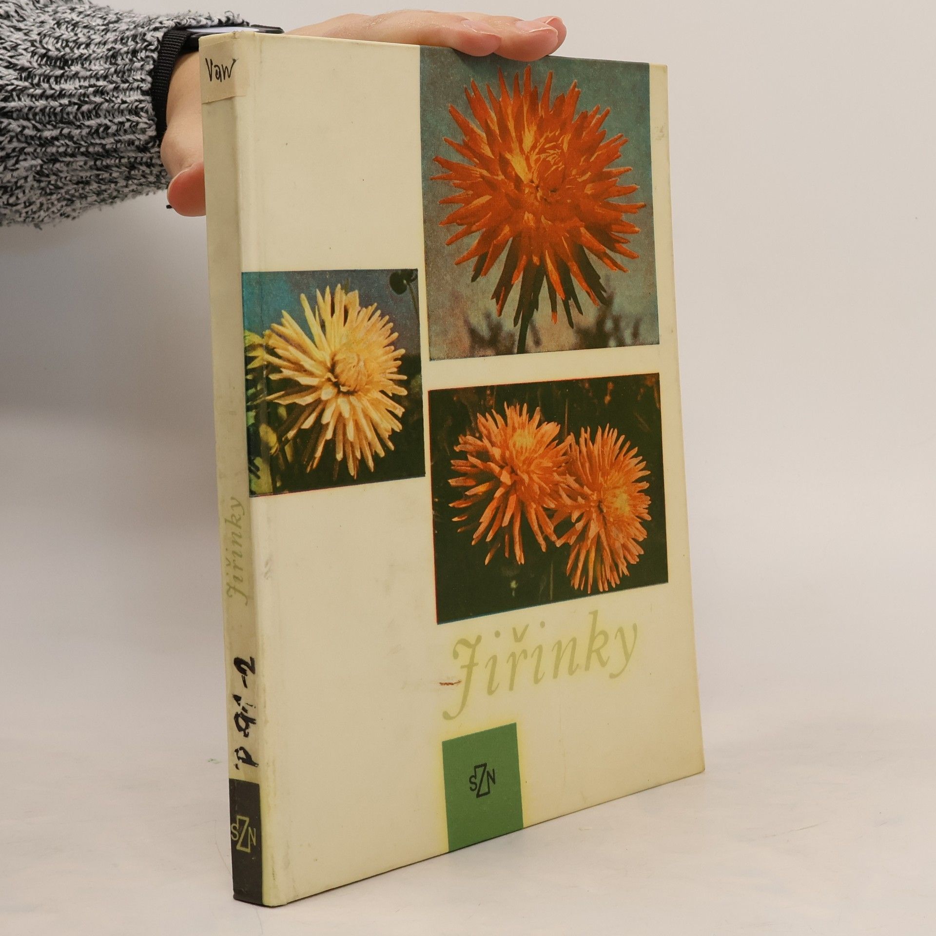 Vlastimil Vaněk Jiřinky