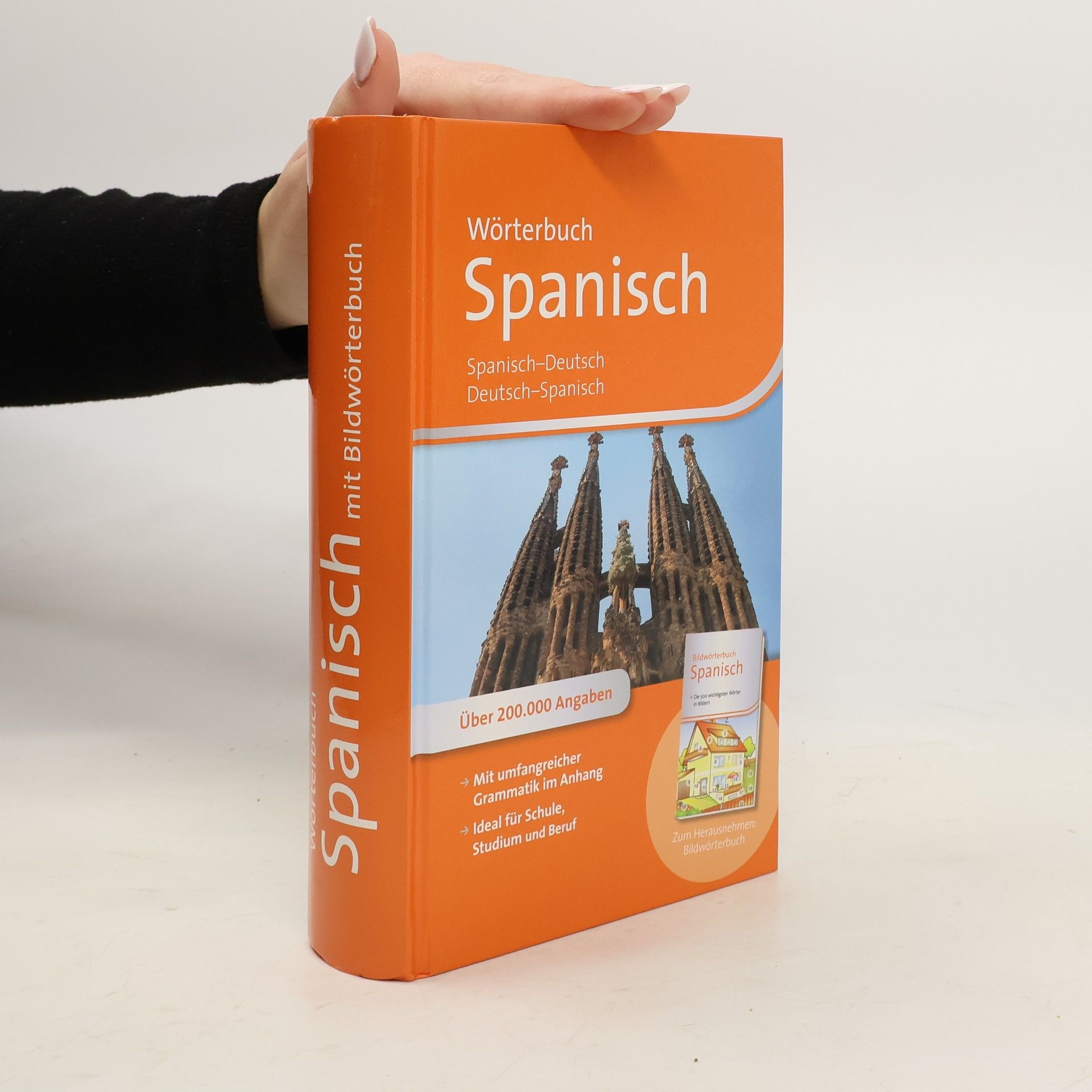 Kolektiv autorů Wörterbuch Spanisch mit Bildwörtenbuch