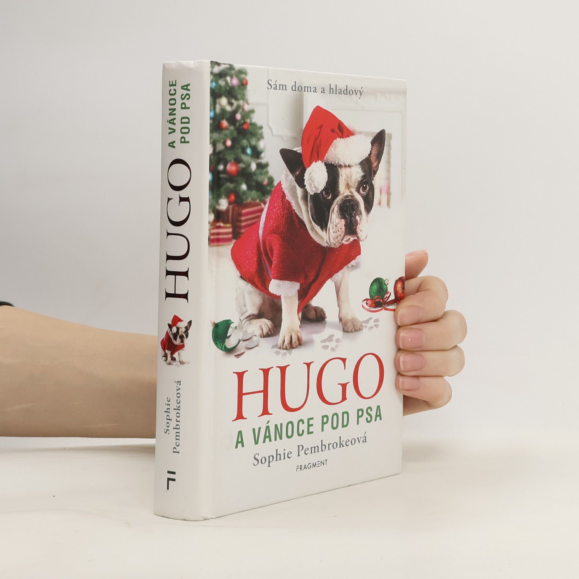 Sophie Pembroke Hugo a Vánoce pod psa
