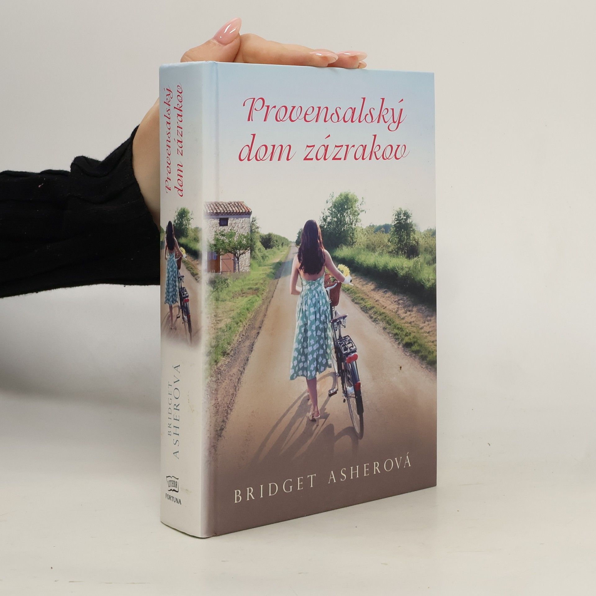 Bridget Asher Provensalský dom zázrakov