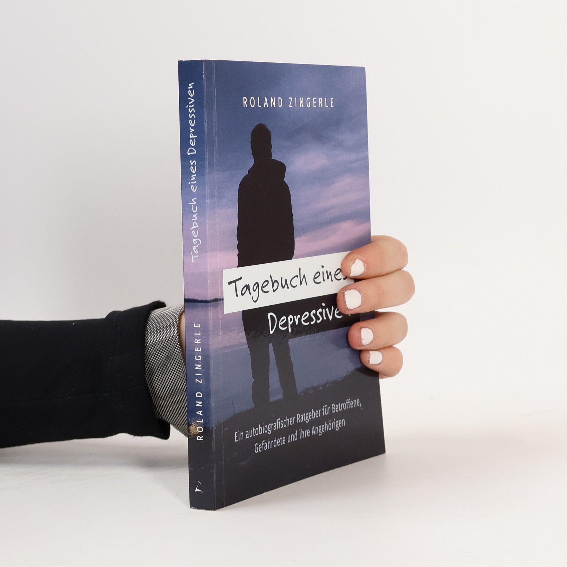 Roland Zingerle Tagebuch eines Depressiven