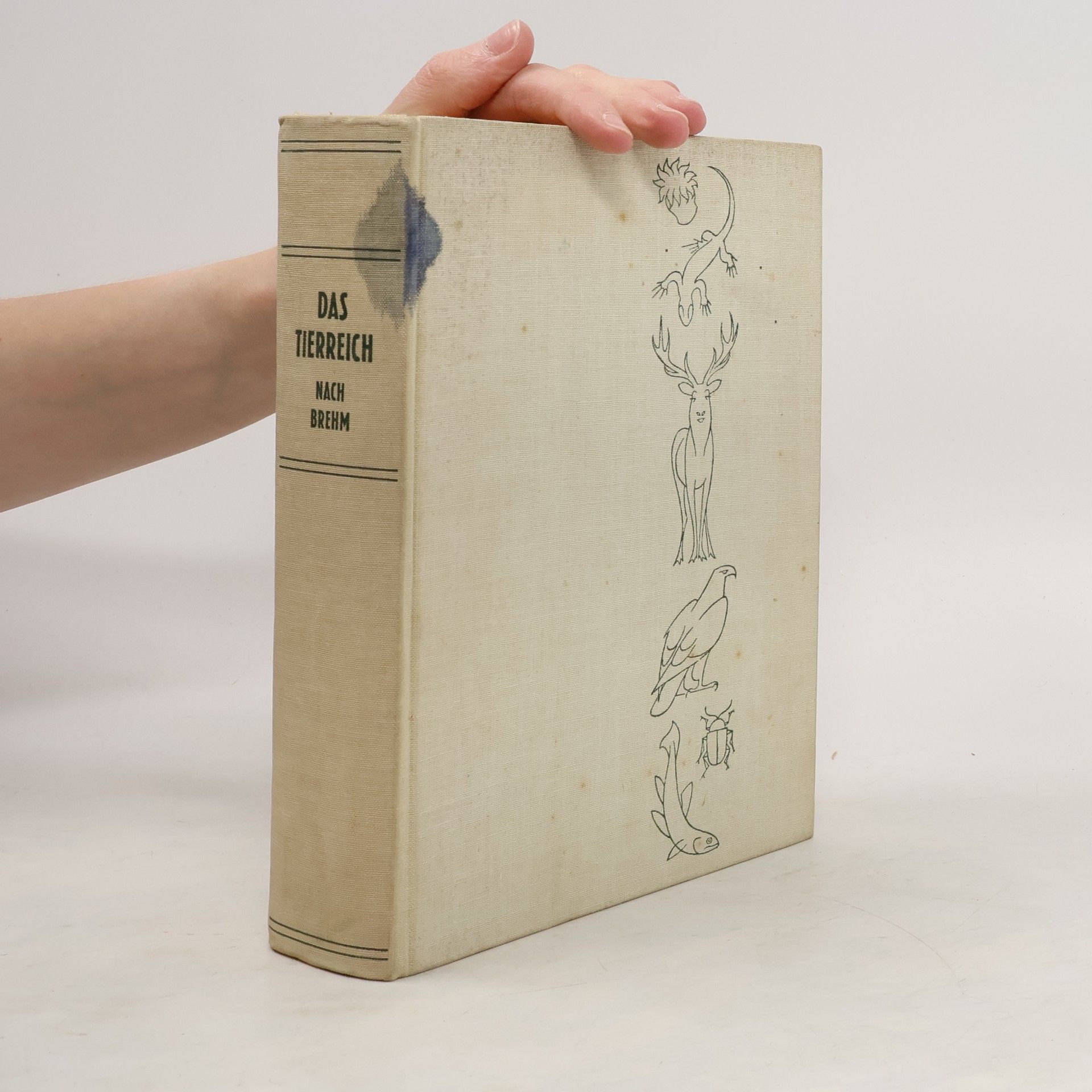 Das Tierreich nach Brehm