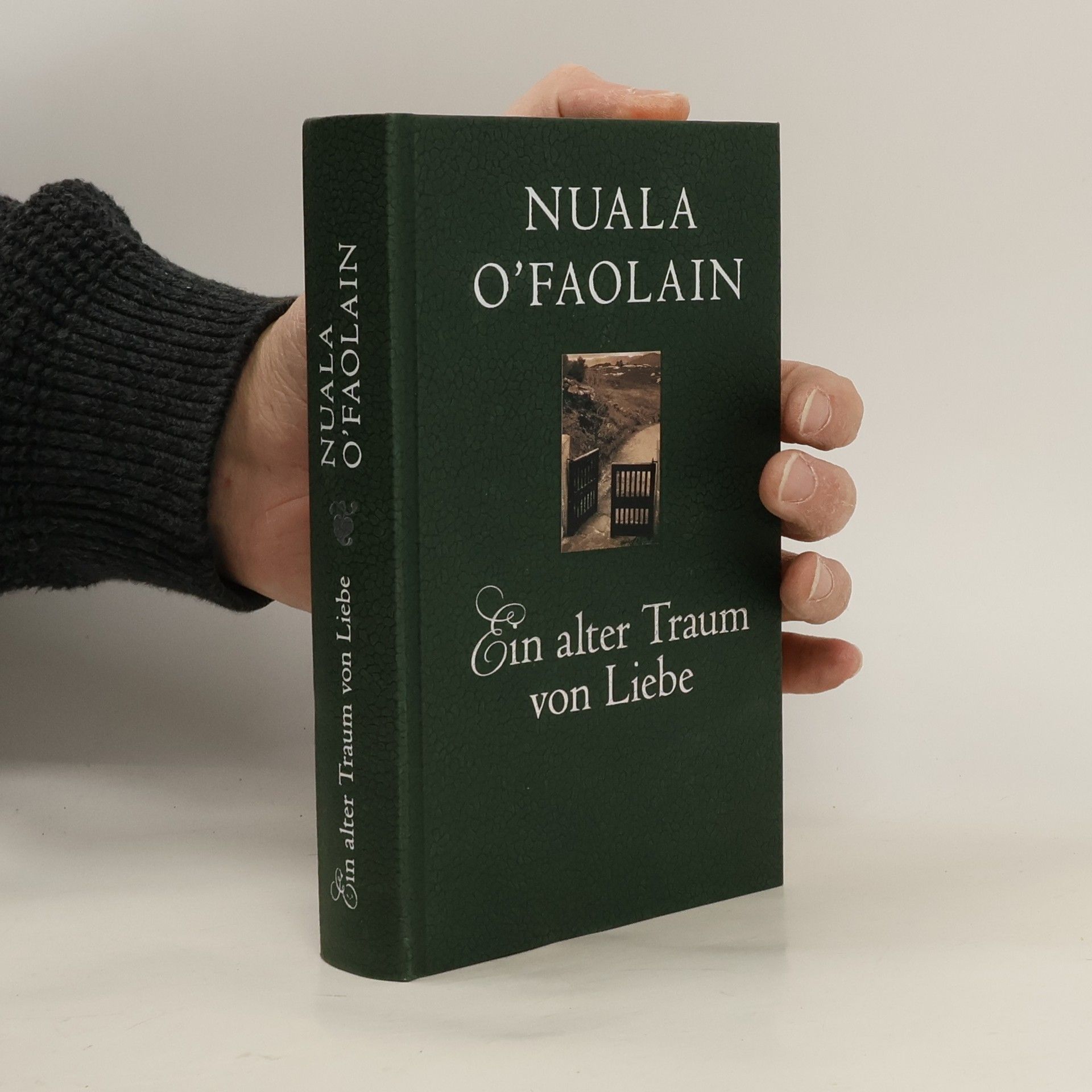 Nuala O. Faolain Ein alter Traum von Liebe