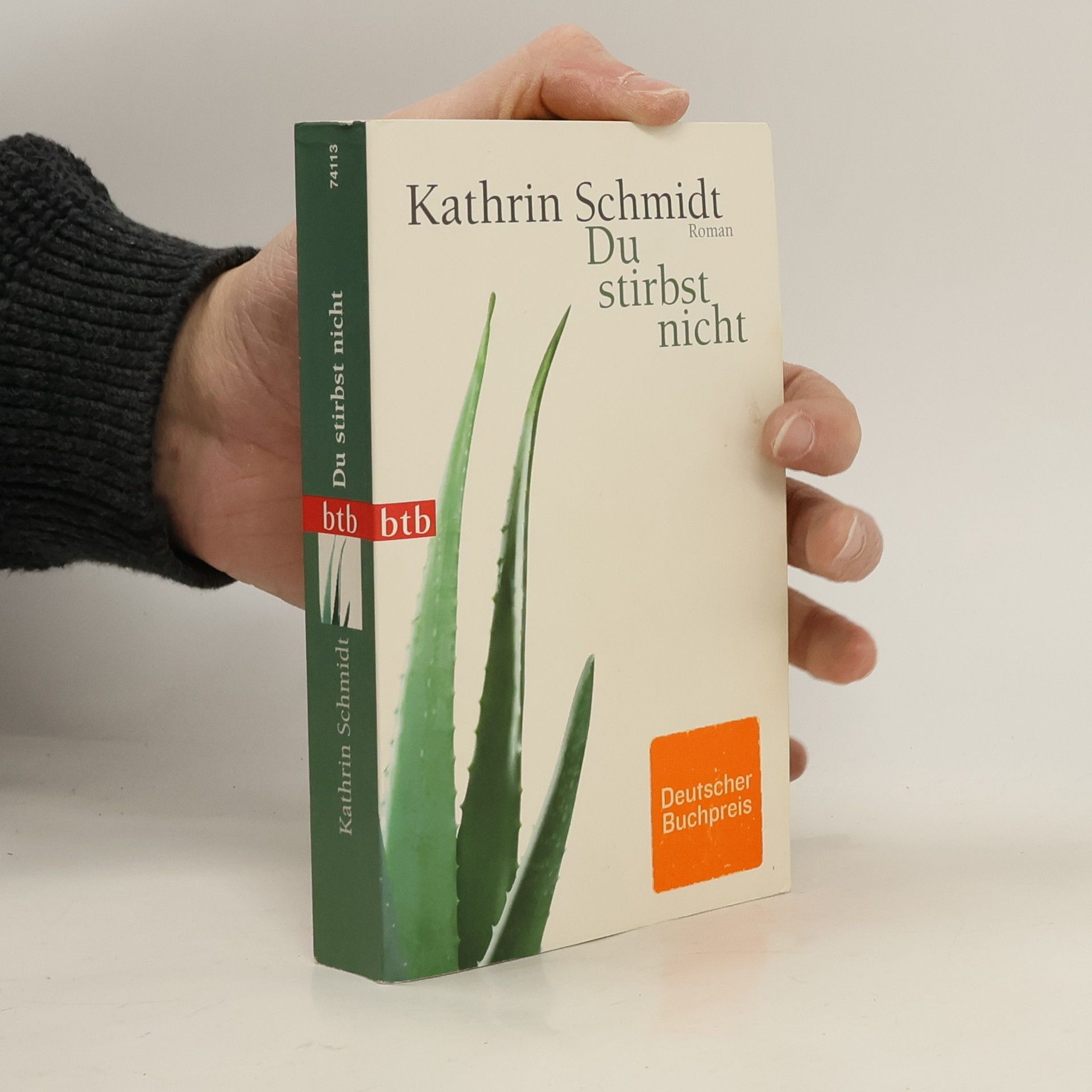 Kathrin Schmidt Du stirbst nicht