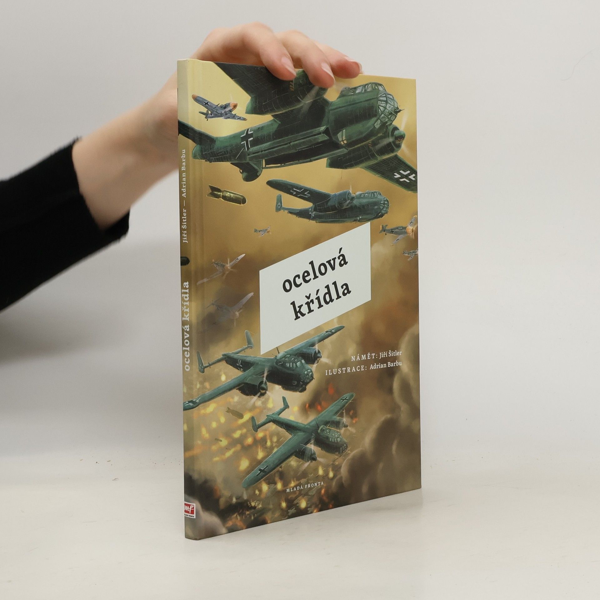 Jiří Šitler Ocelová křídla