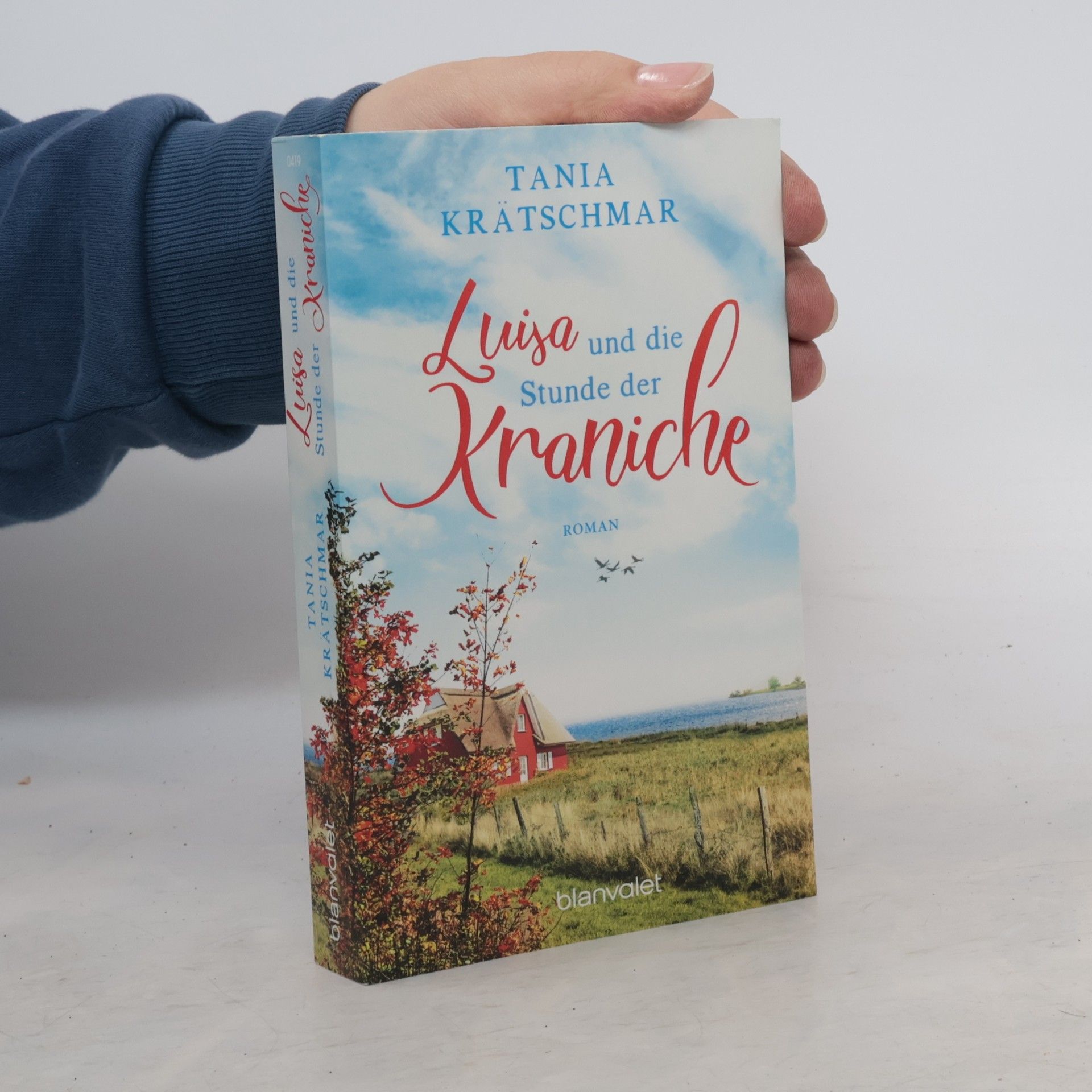 Tania Krätschmar Luisa und die Stunde der Kraniche