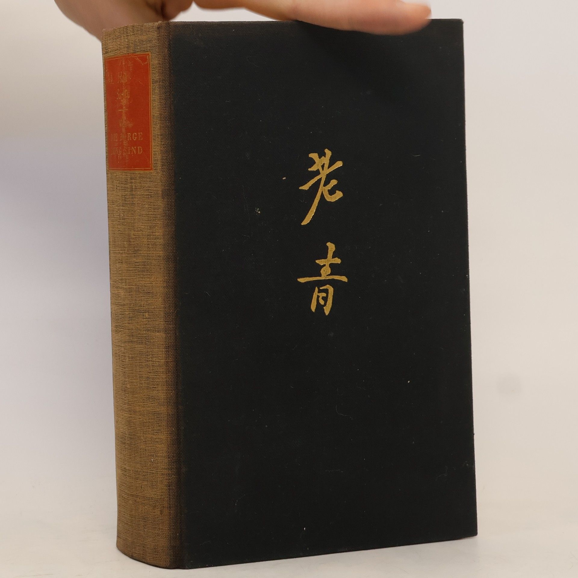 Wo die Berge Jung Sind